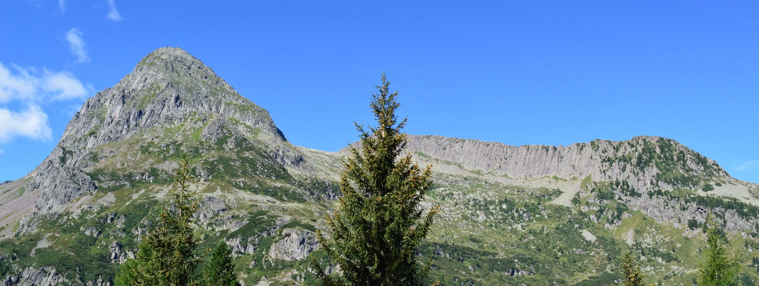 DSC_0003 - Copia.JPG