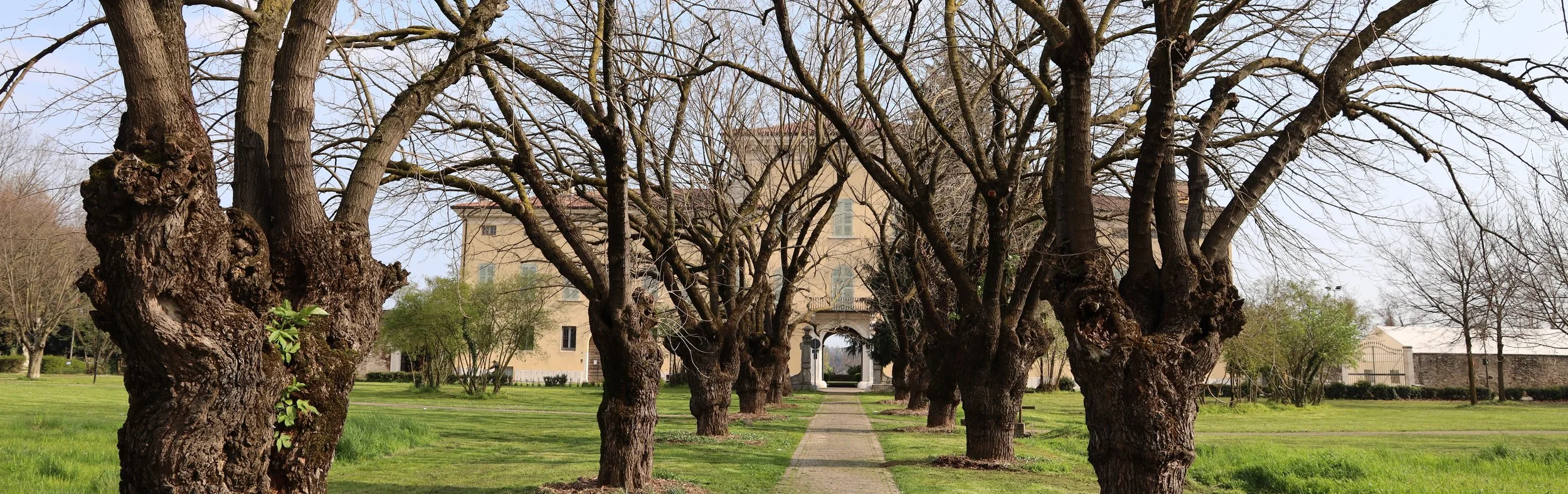 LIFE 0003 - Copia.JPG