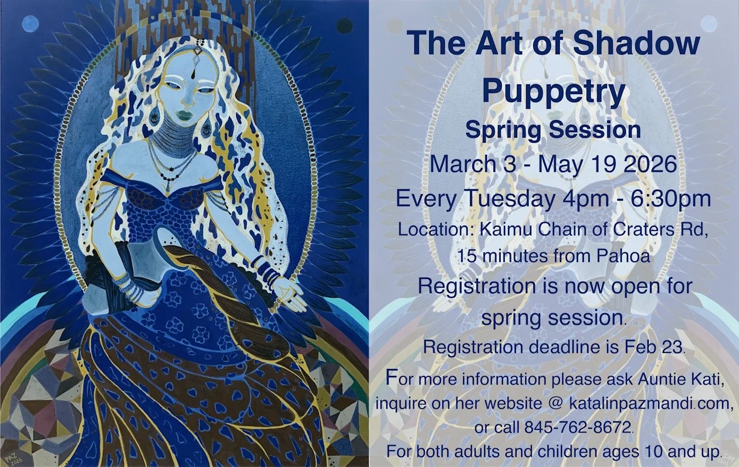 shadowpuppetposter.JPG