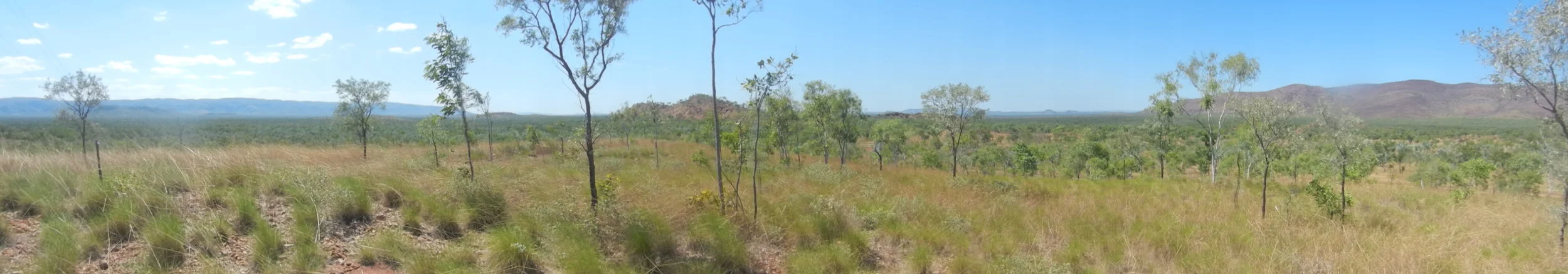 Valentines May13_005.JPG