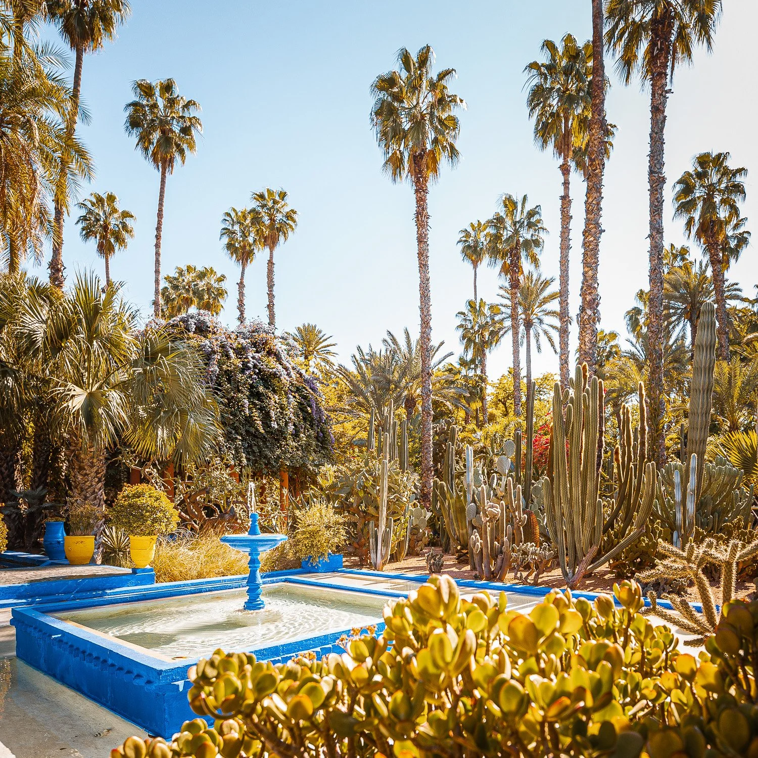 majorelle-garden-marrakech-benzakour.jpg