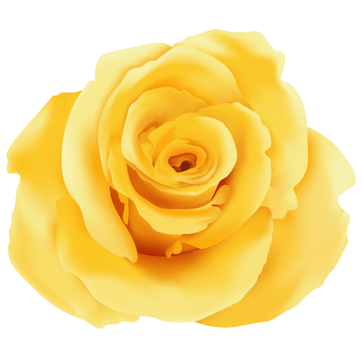 image of an illustrated yellow rose