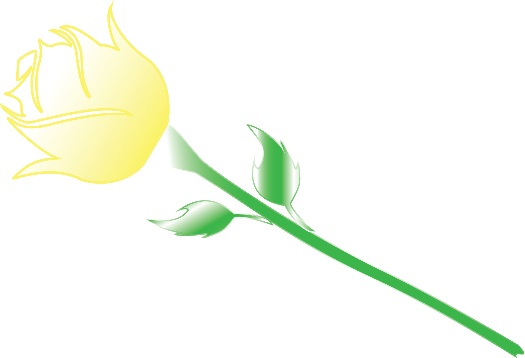 yellow rose from logo