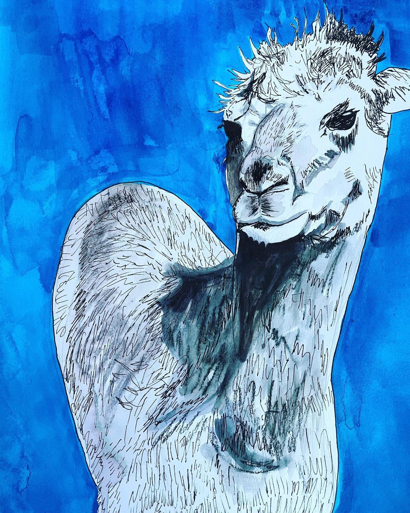 My first alpaca commission ever!!!!!! It was so much fun to draw this gorgeous Sonya for @eema.naomi !!!! What a delight!