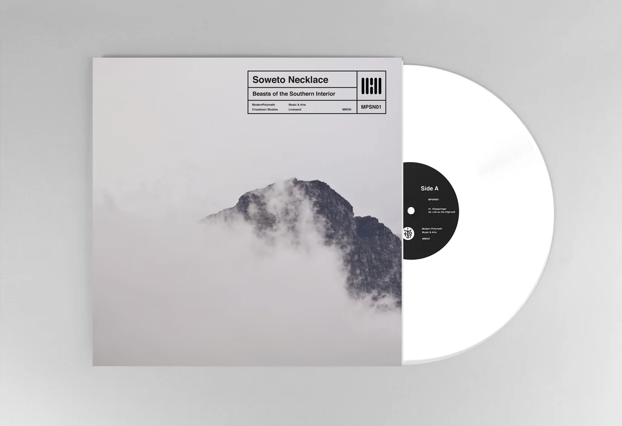 vinyls_2.jpg