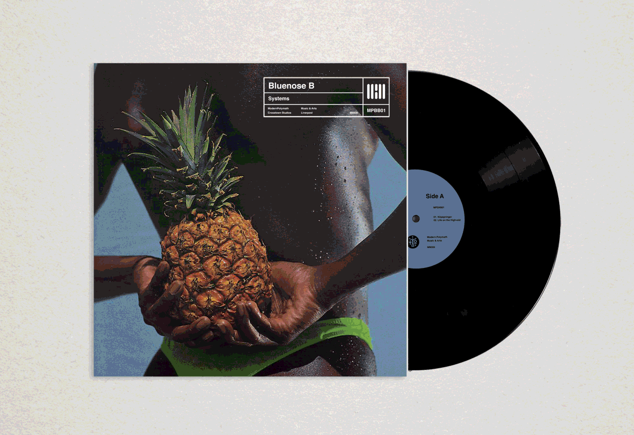 blankvinyl2.gif