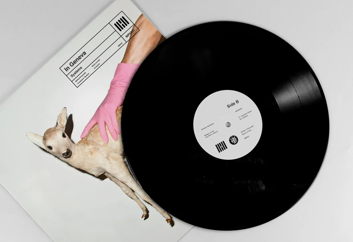 vinyls_7.jpg