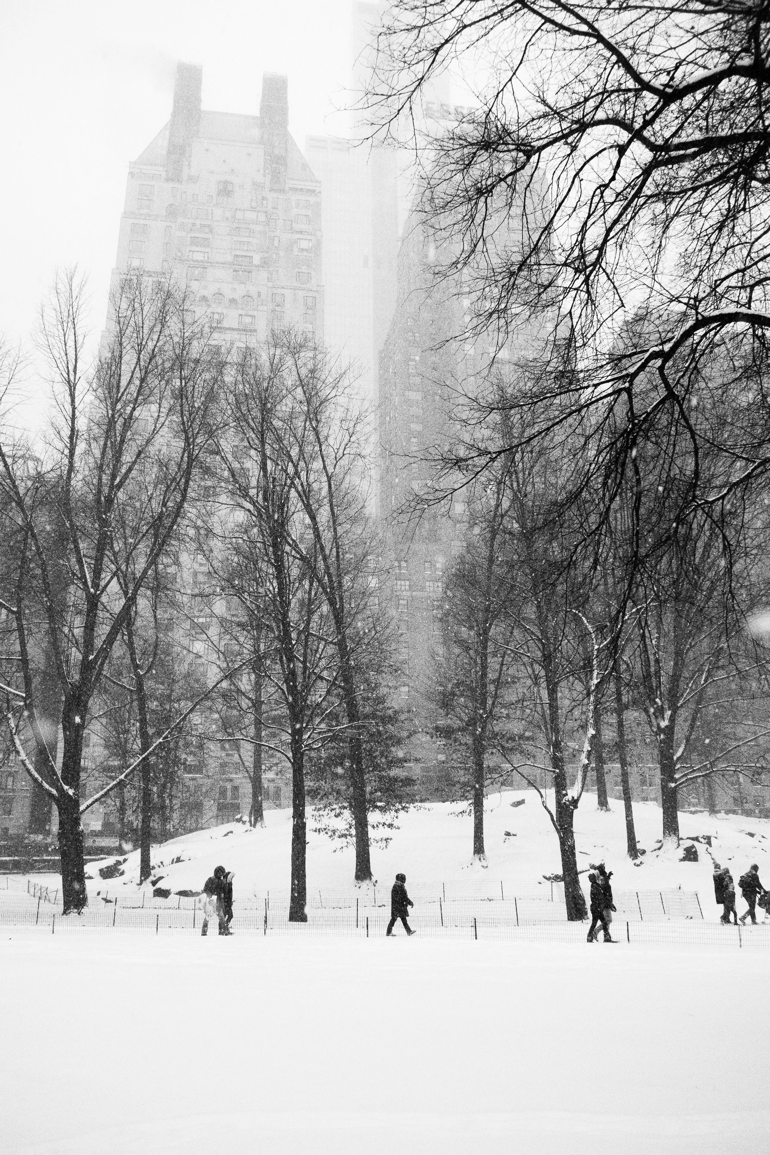 Snow 3.jpg