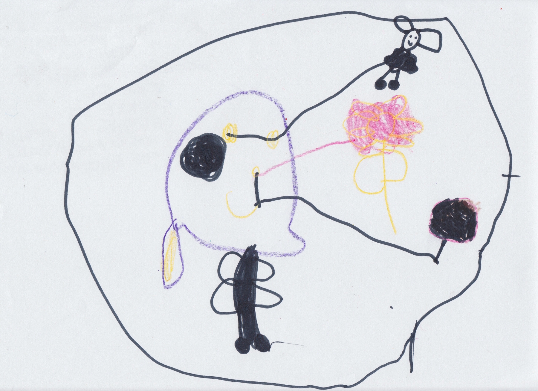 Roxie “This is my brain; I am smelling a rose, I am tasting a cookie, I am seeing a butterfly. : I have to add a body to the brain! Now, it’s me”