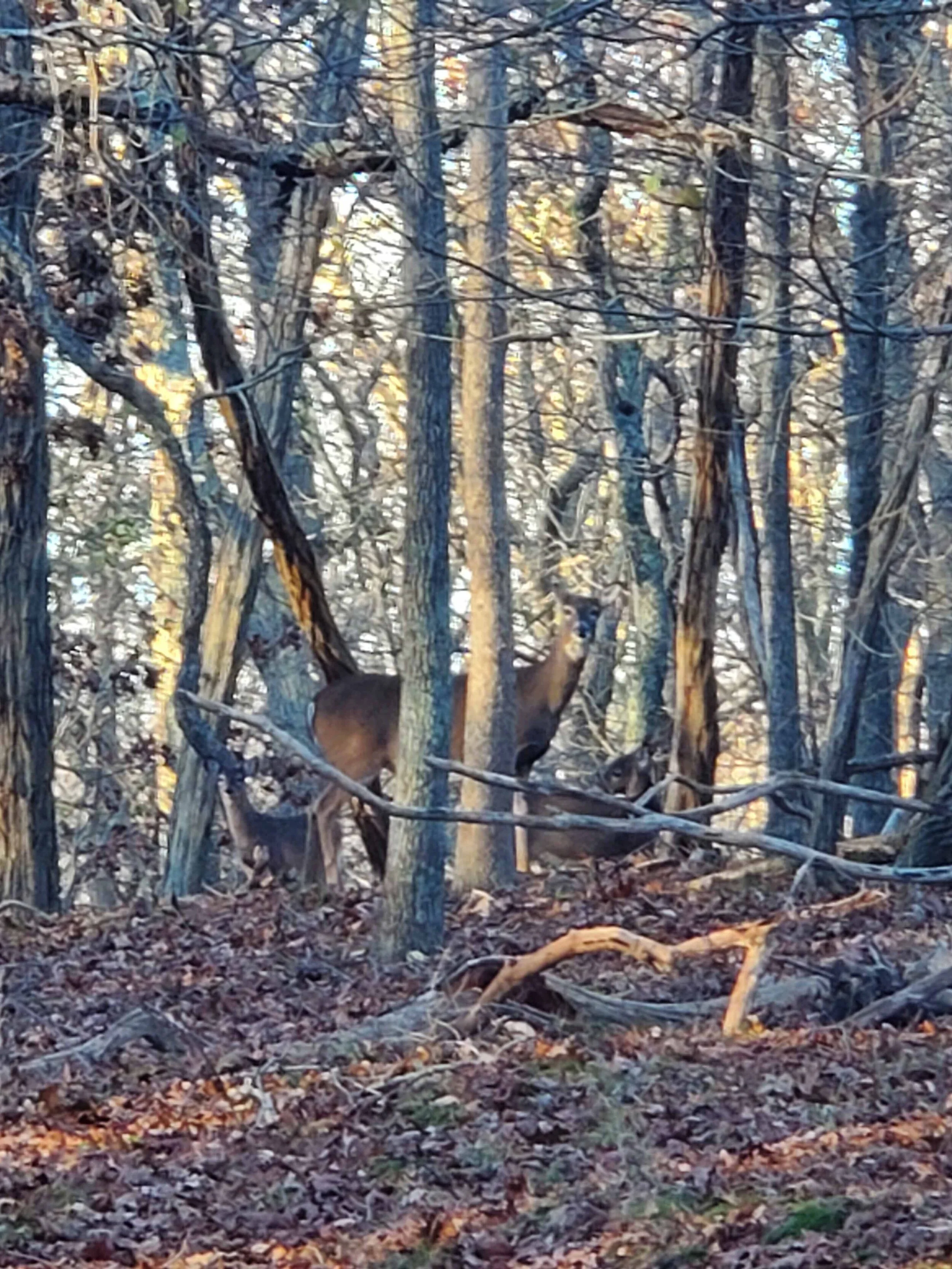 20201120_153618b.jpg
