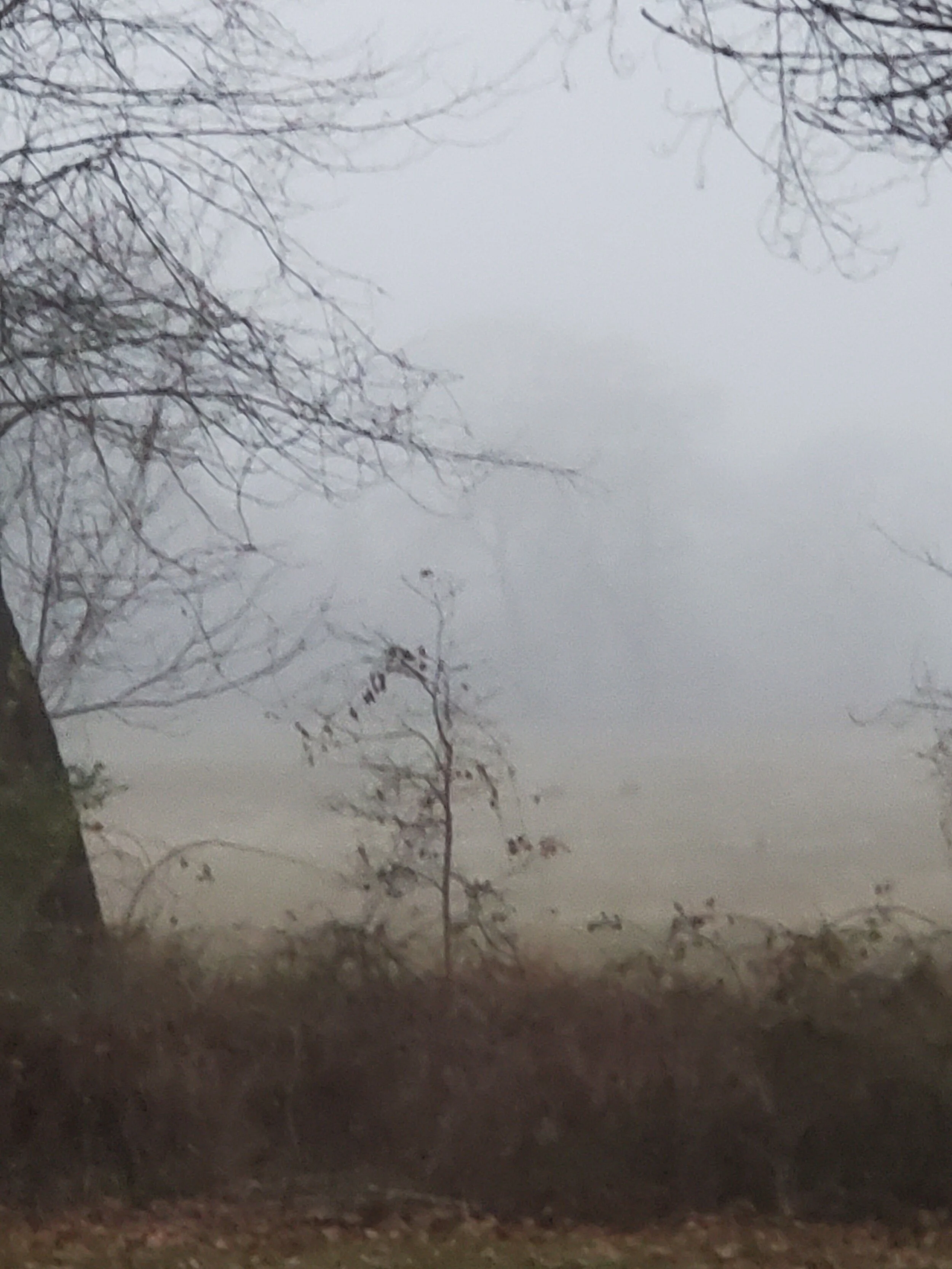 20201126_163902.jpg
