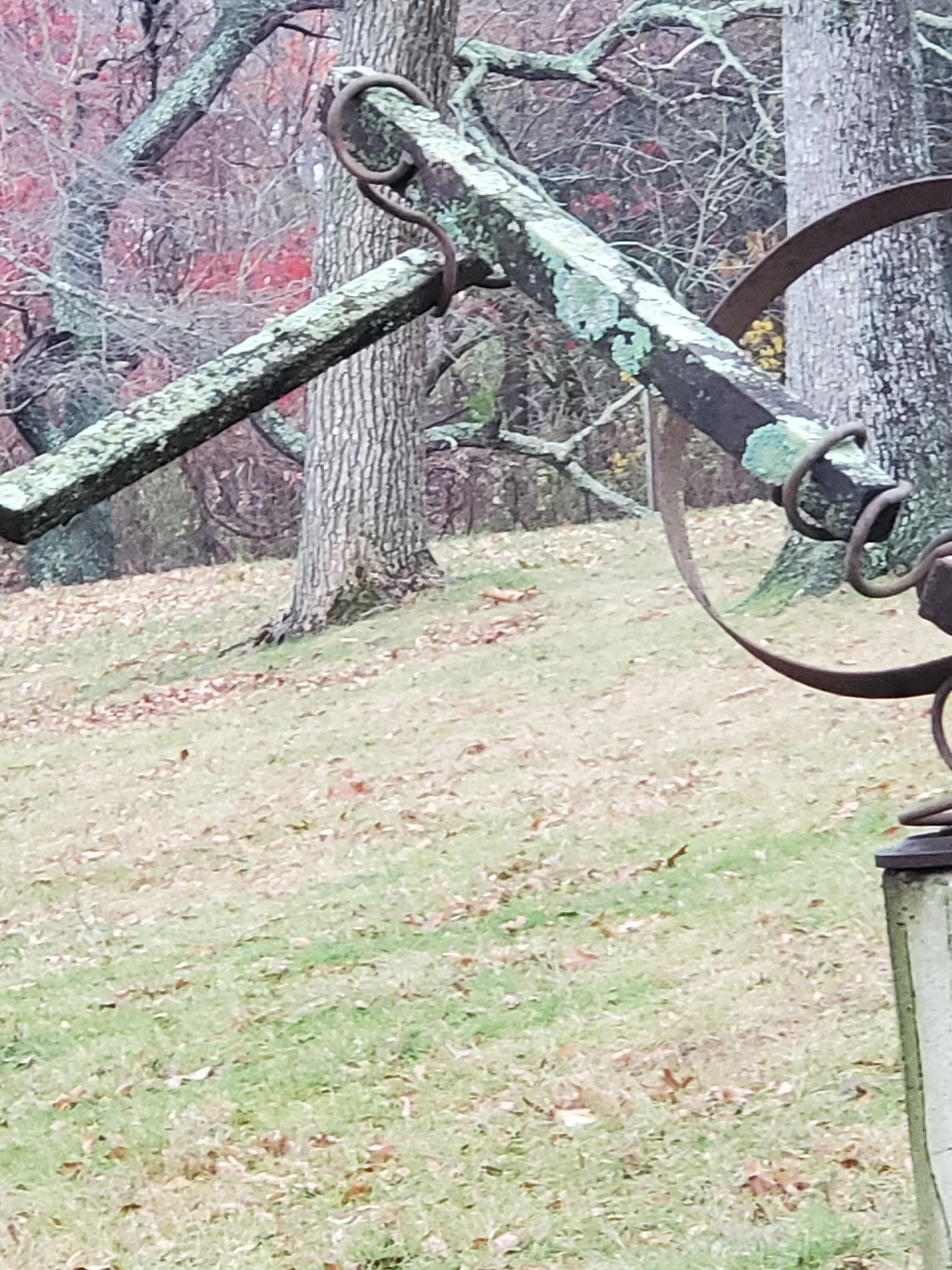 20201126_160014.jpg
