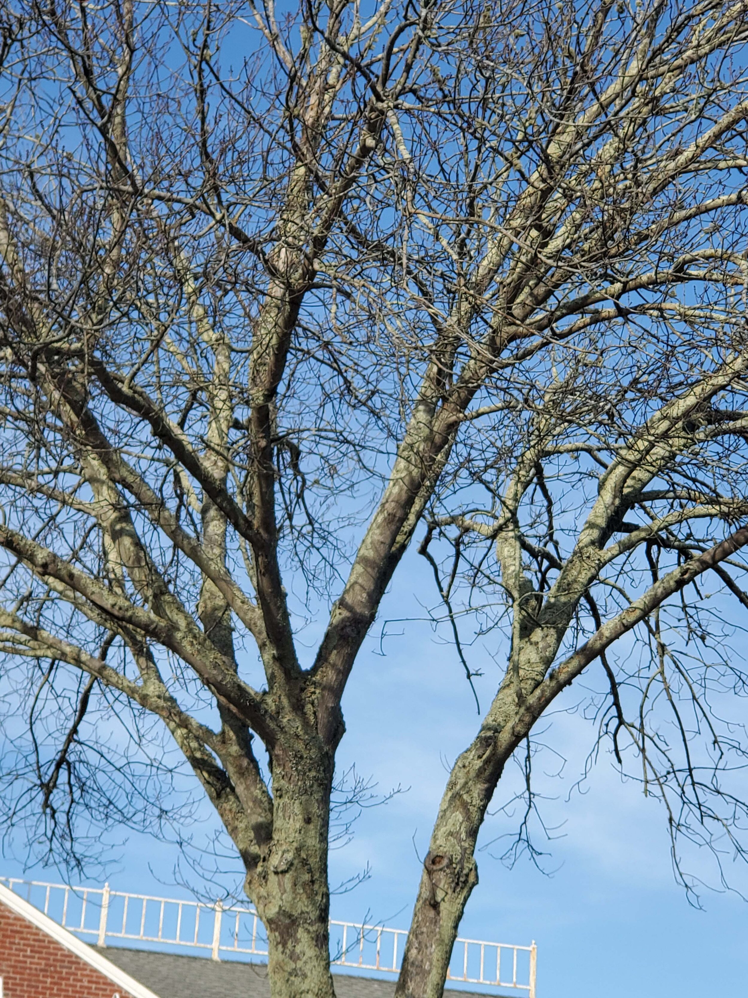 20201203_132526b.jpg