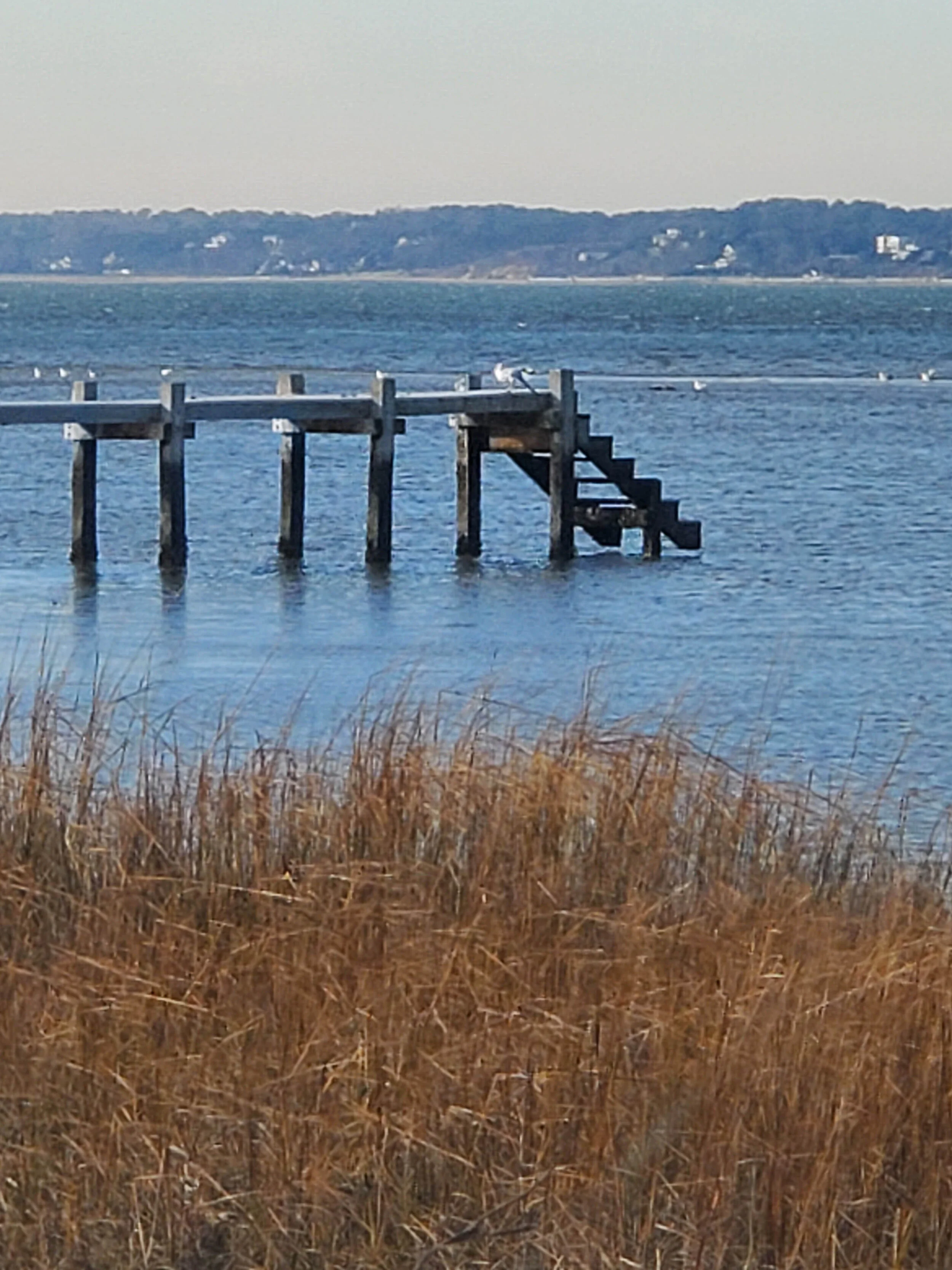 20201203_140436b.jpg