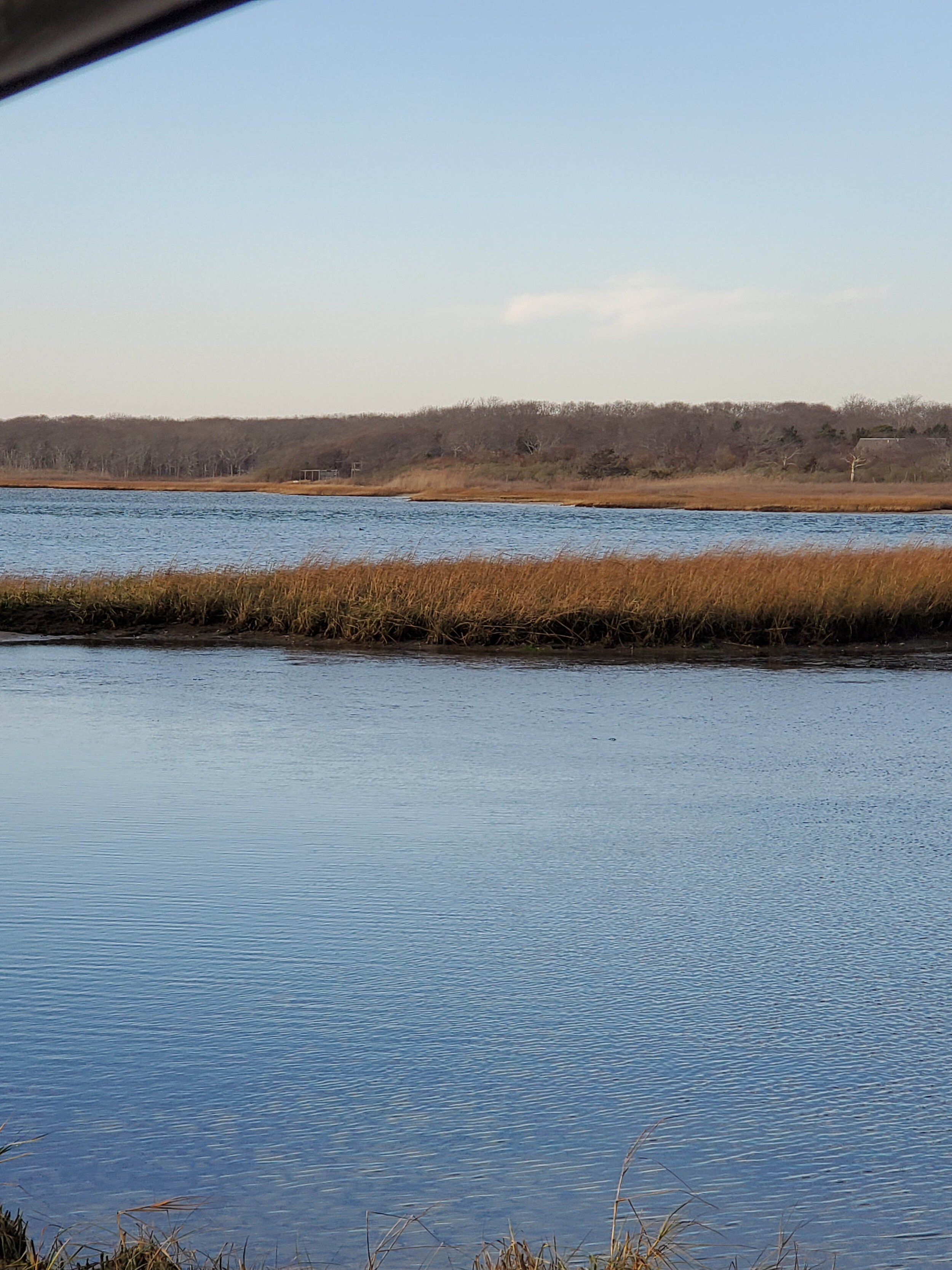 20201203_140244b.jpg
