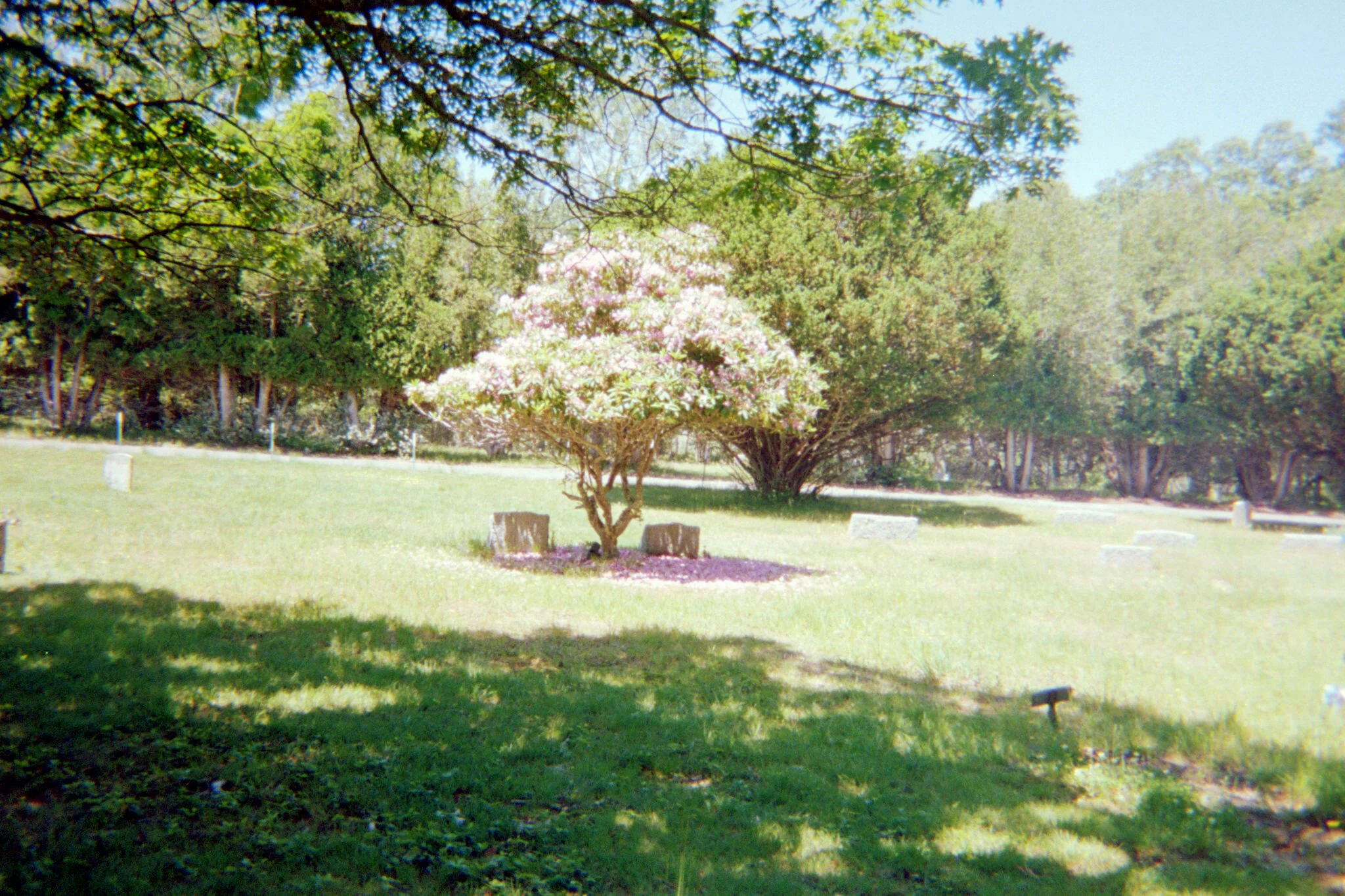 Asset0009update copy.jpg