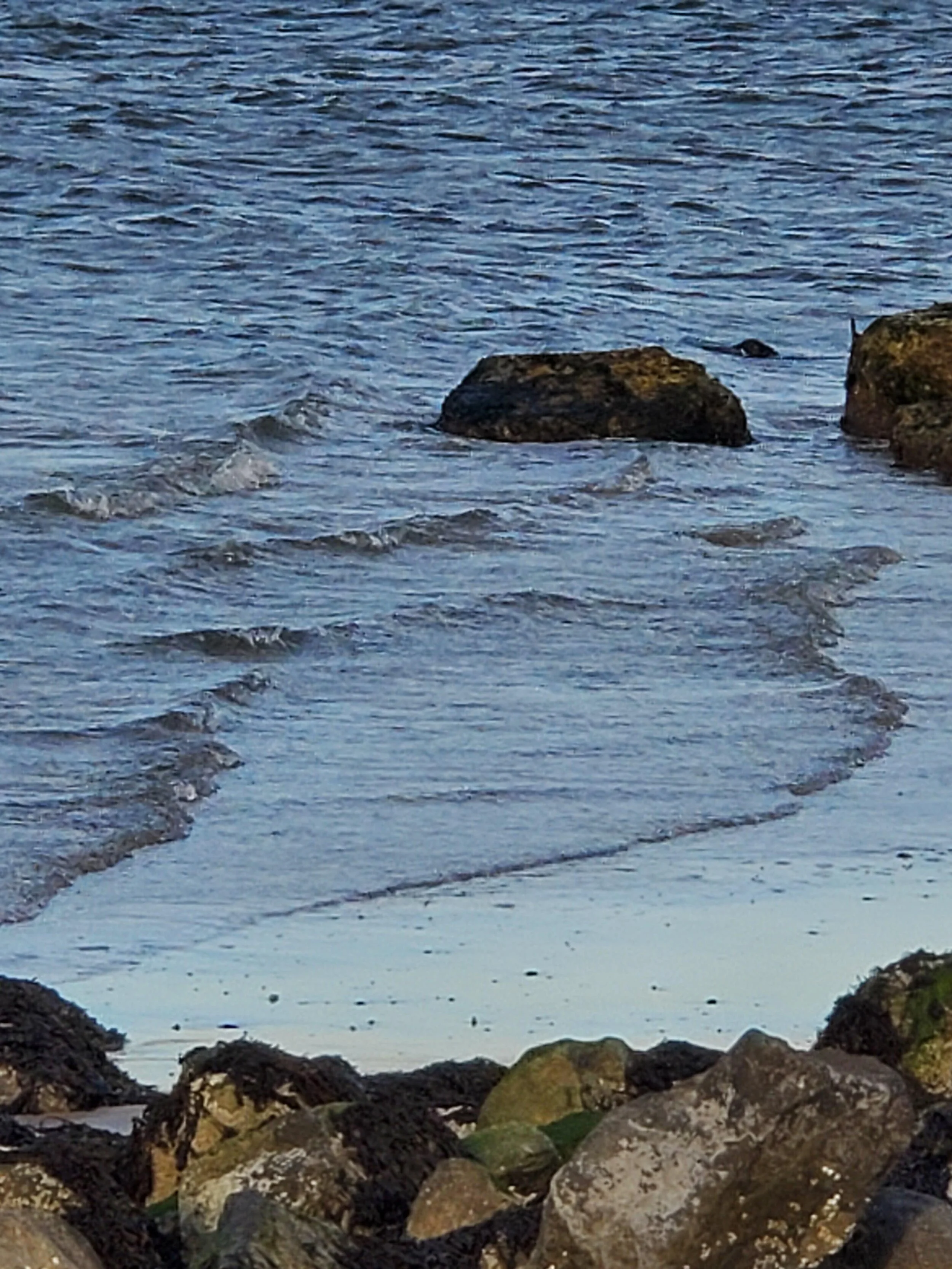20201203_141432b.jpg