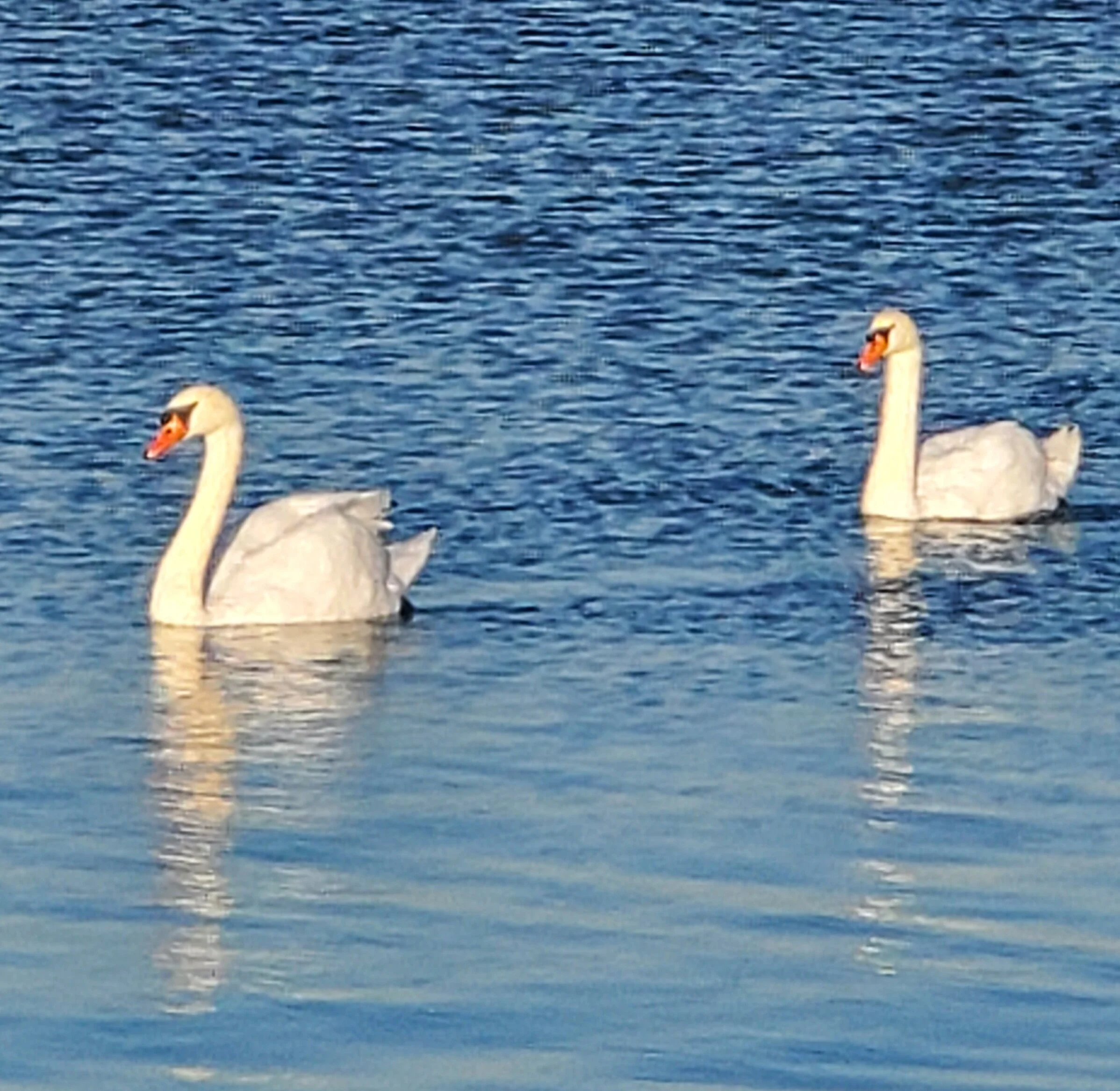20201203_145857.jpg
