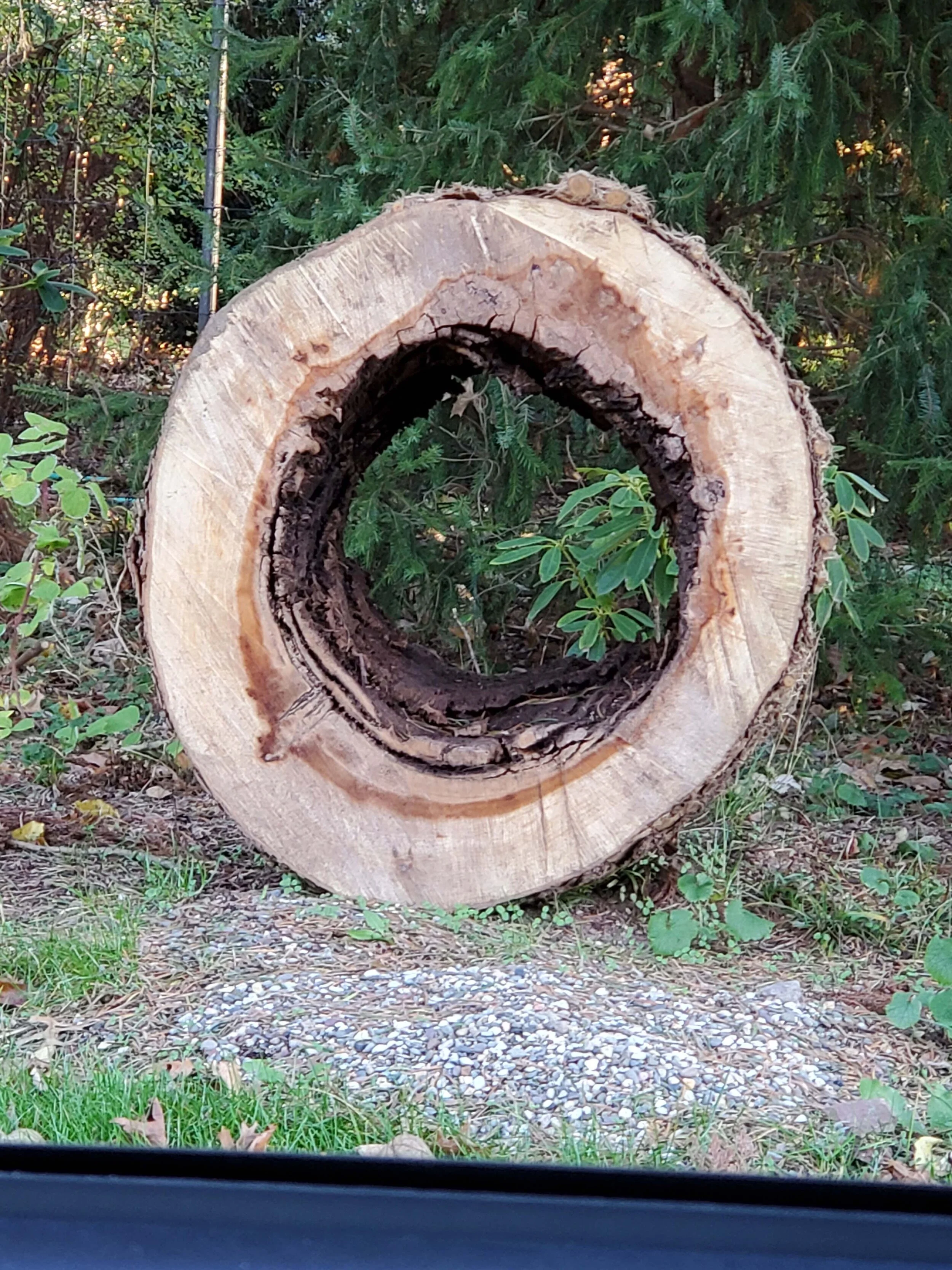 20201203_151544b.jpg