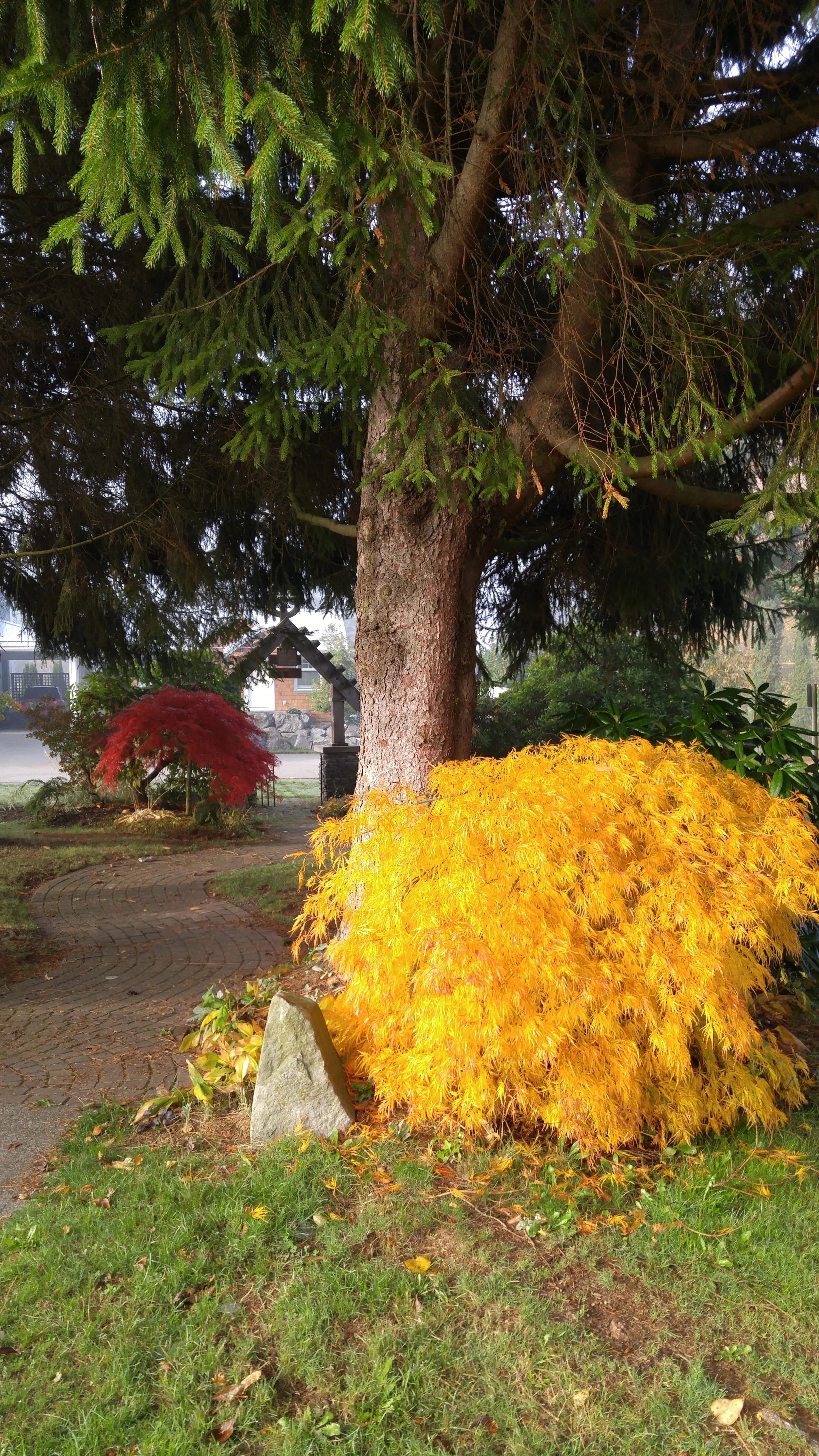 20171029_095033.jpg