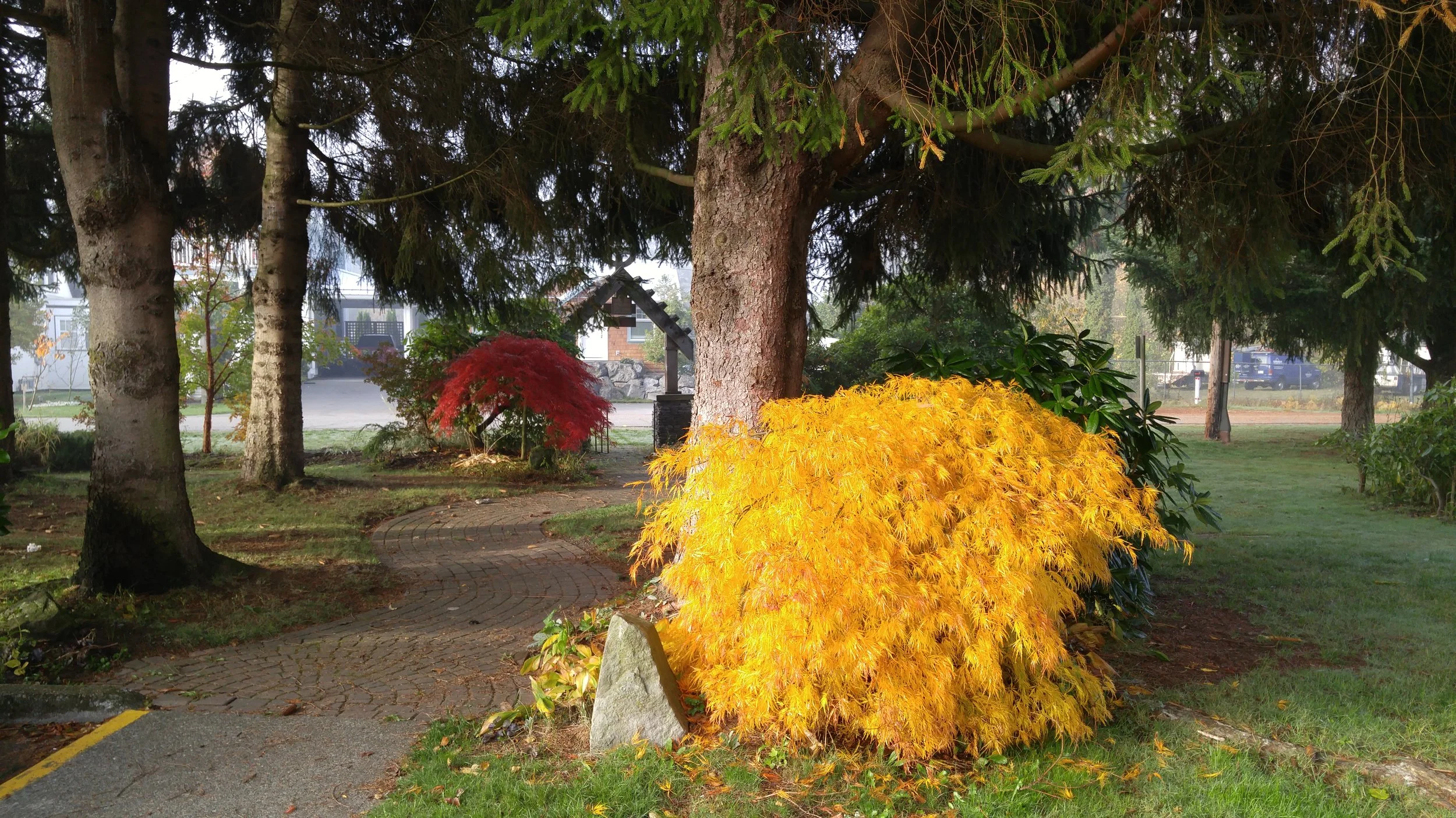 20171029_095045.jpg