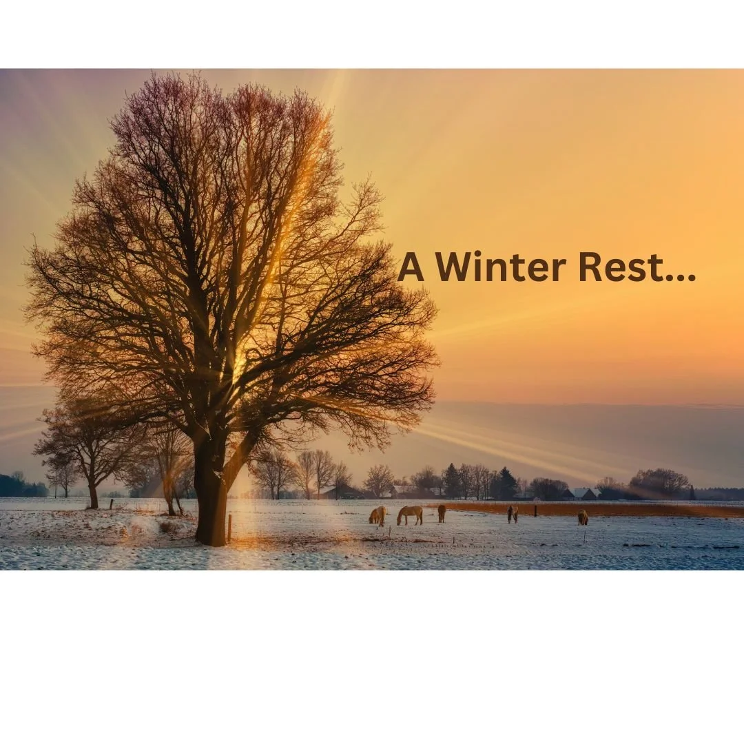 Newsletter: A Winter Rest...
