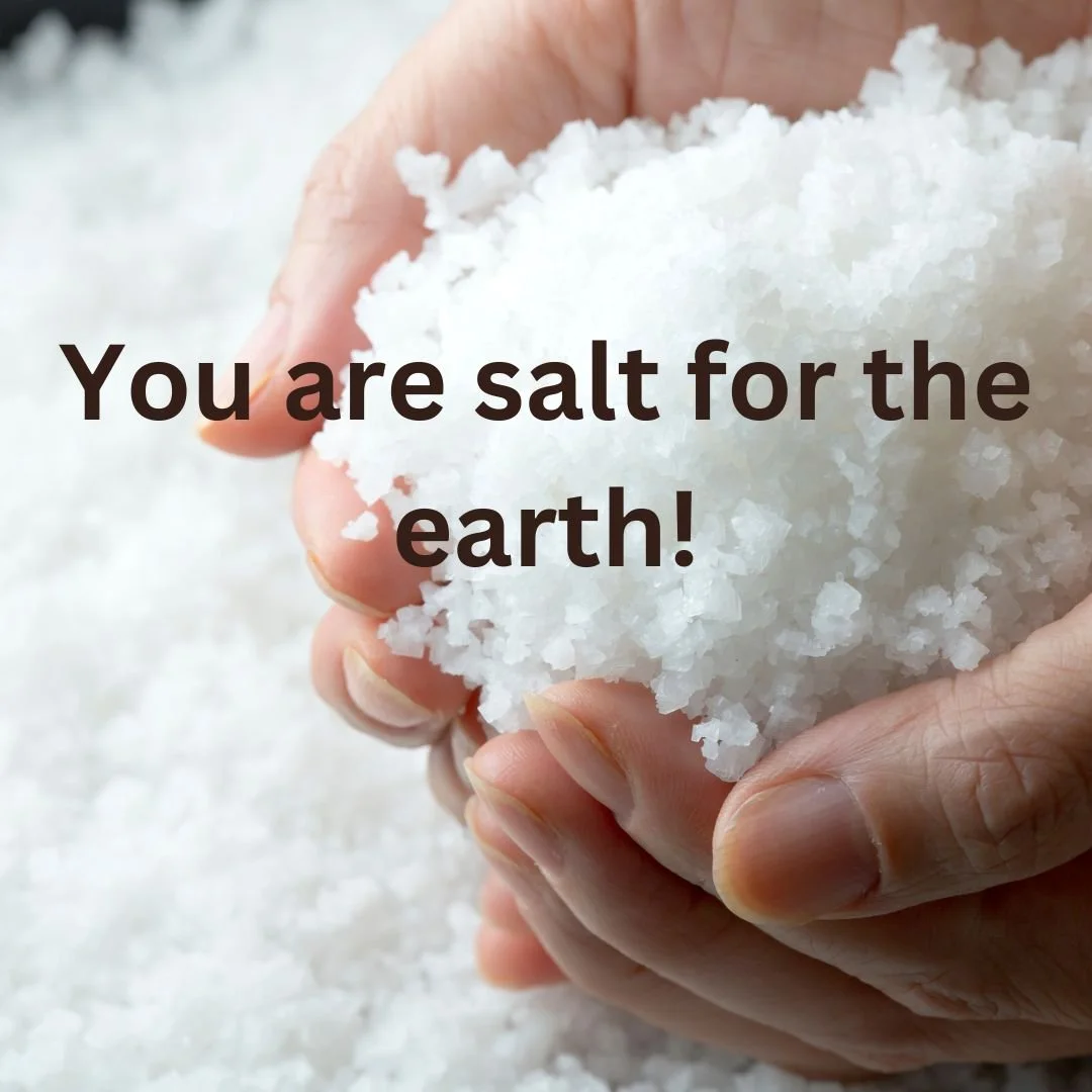 Newsletter:  We are Salt for the Earth!