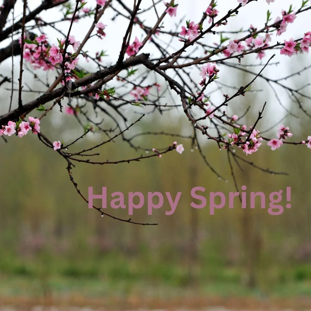 Newsletter: Spring Clean Up!