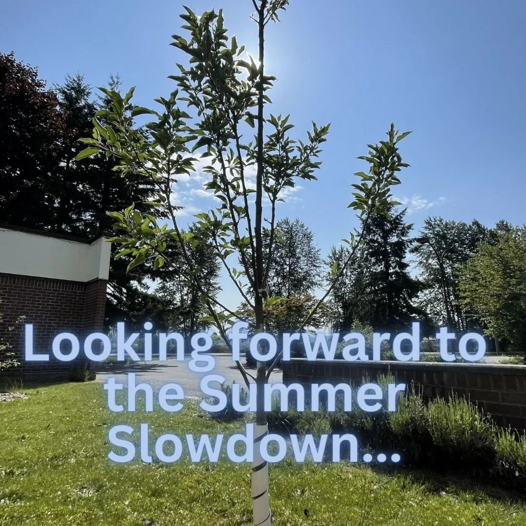 Newsletter: Welcome to June!