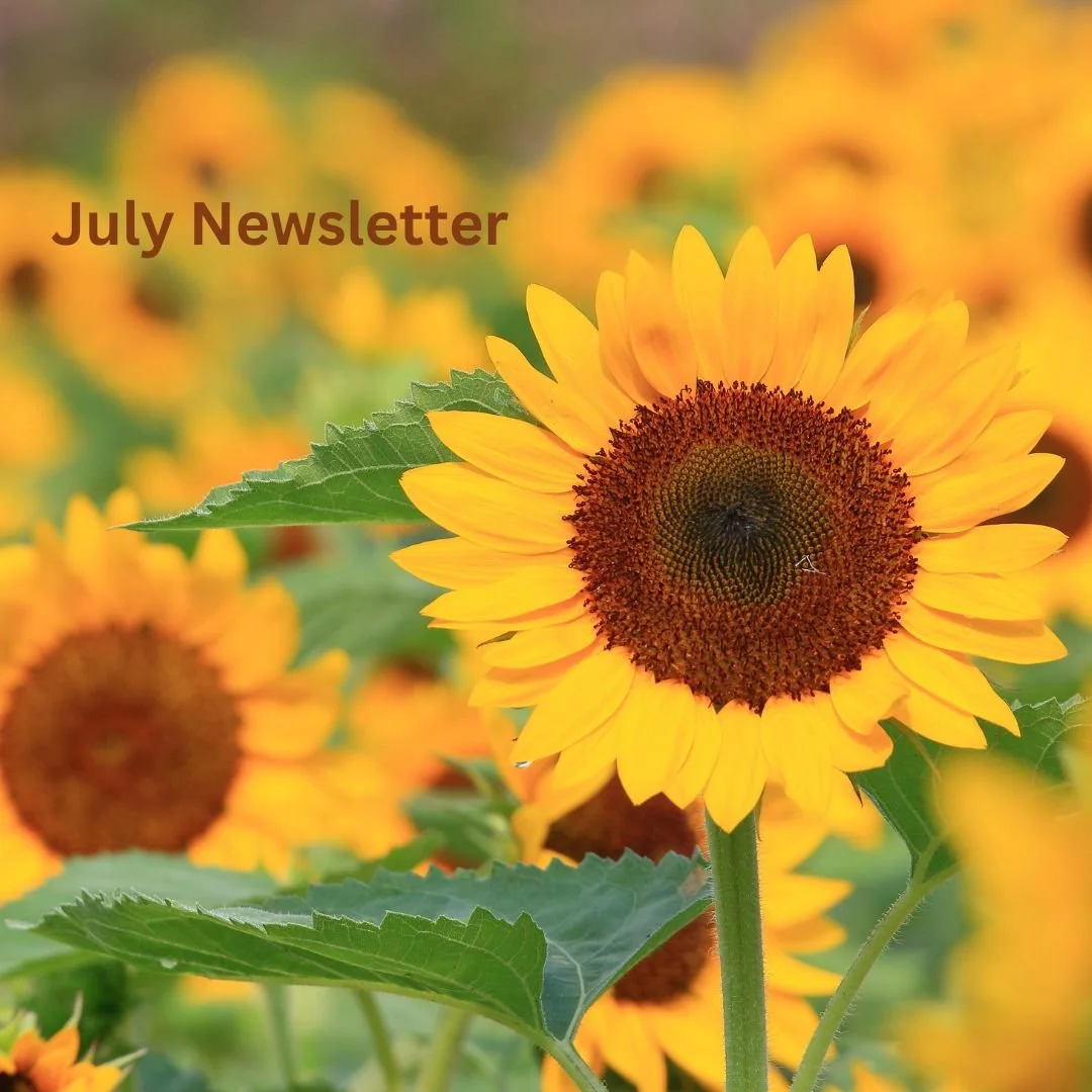 Newsletter: July Newsletter...