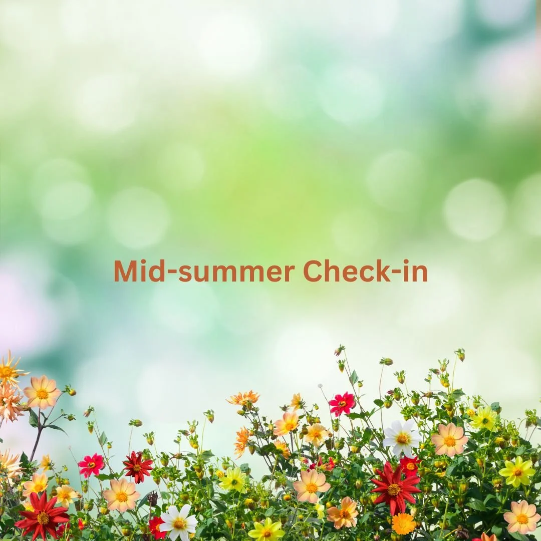 Newsletter: Mid-Summer Check-in