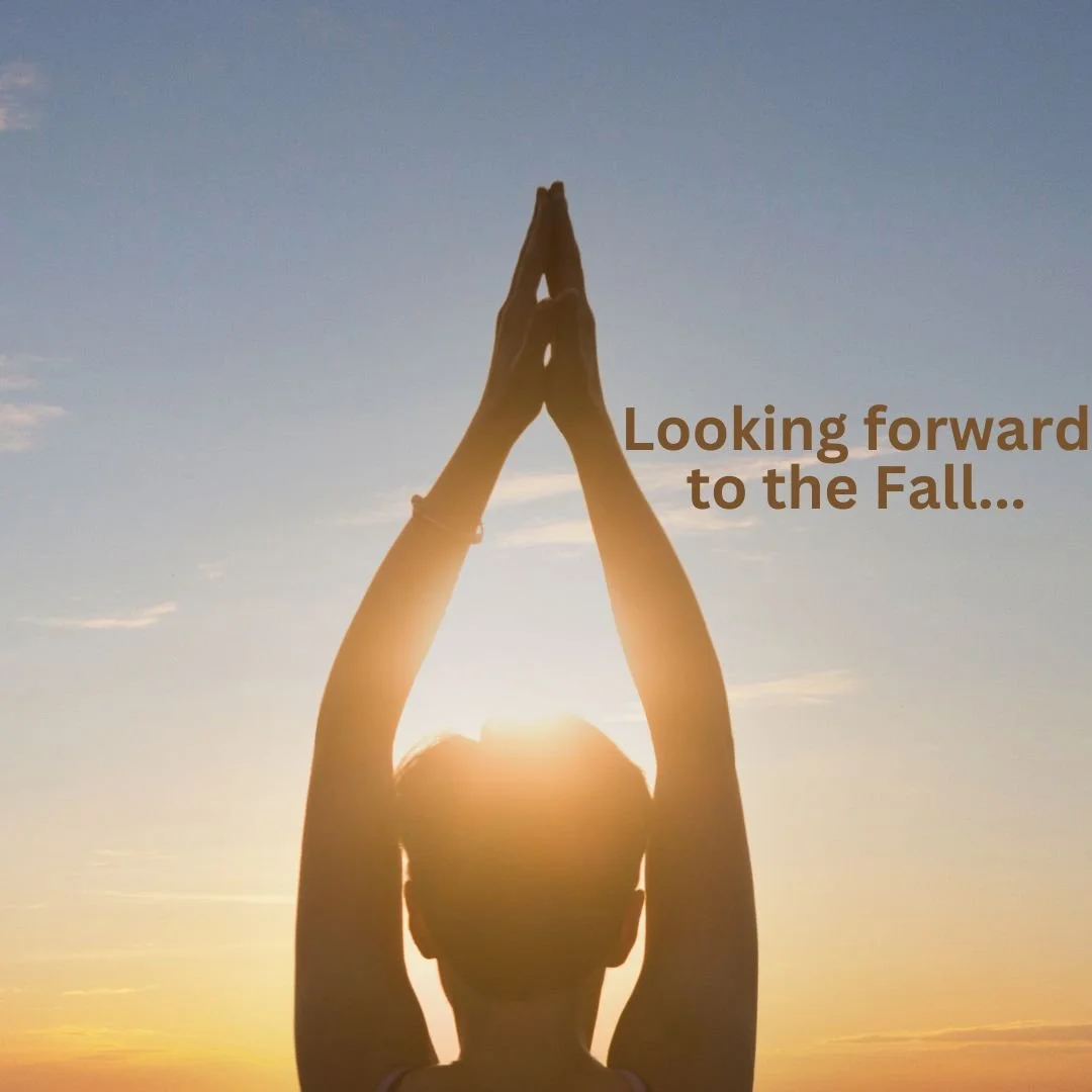 Newsletter: Loving our furry companions…