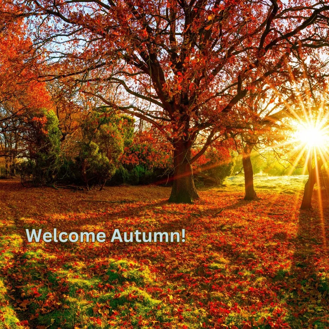 Newsletter: Welcome Autumn!