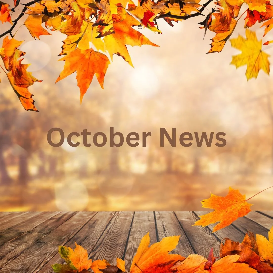 Newsletter: October News