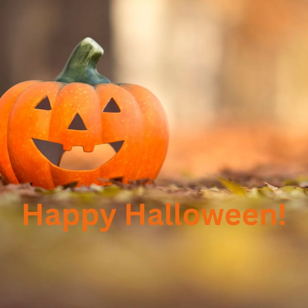 Newsletter: Welcome to November!