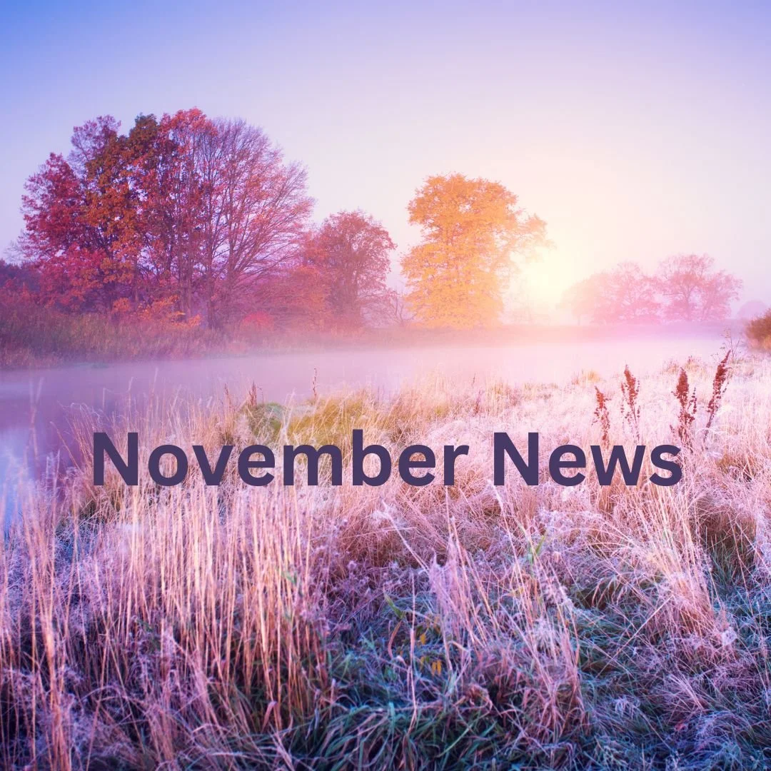 Newsletter: November News