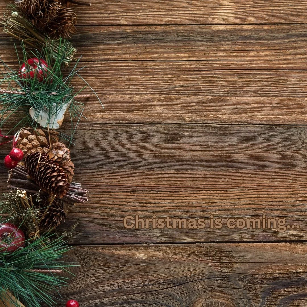 Newsletter: Christmas is coming...