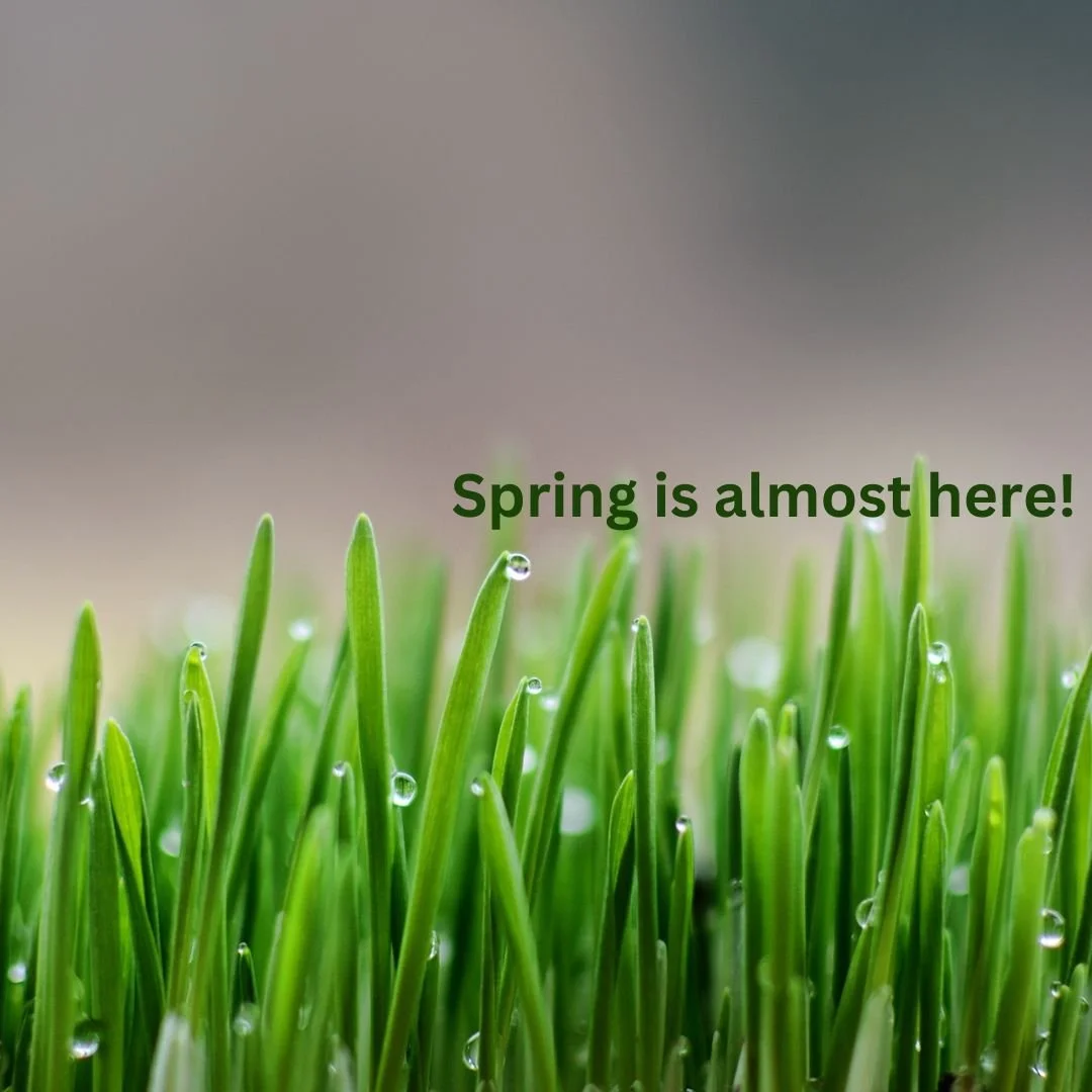 Newsletter: Spring is almost here!