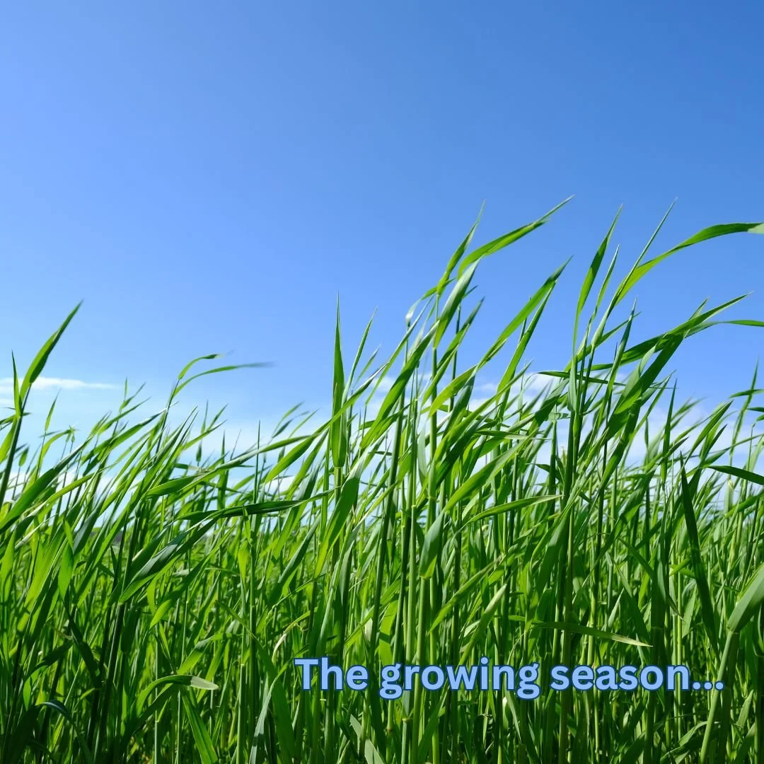 Newsletter: The growing season...
