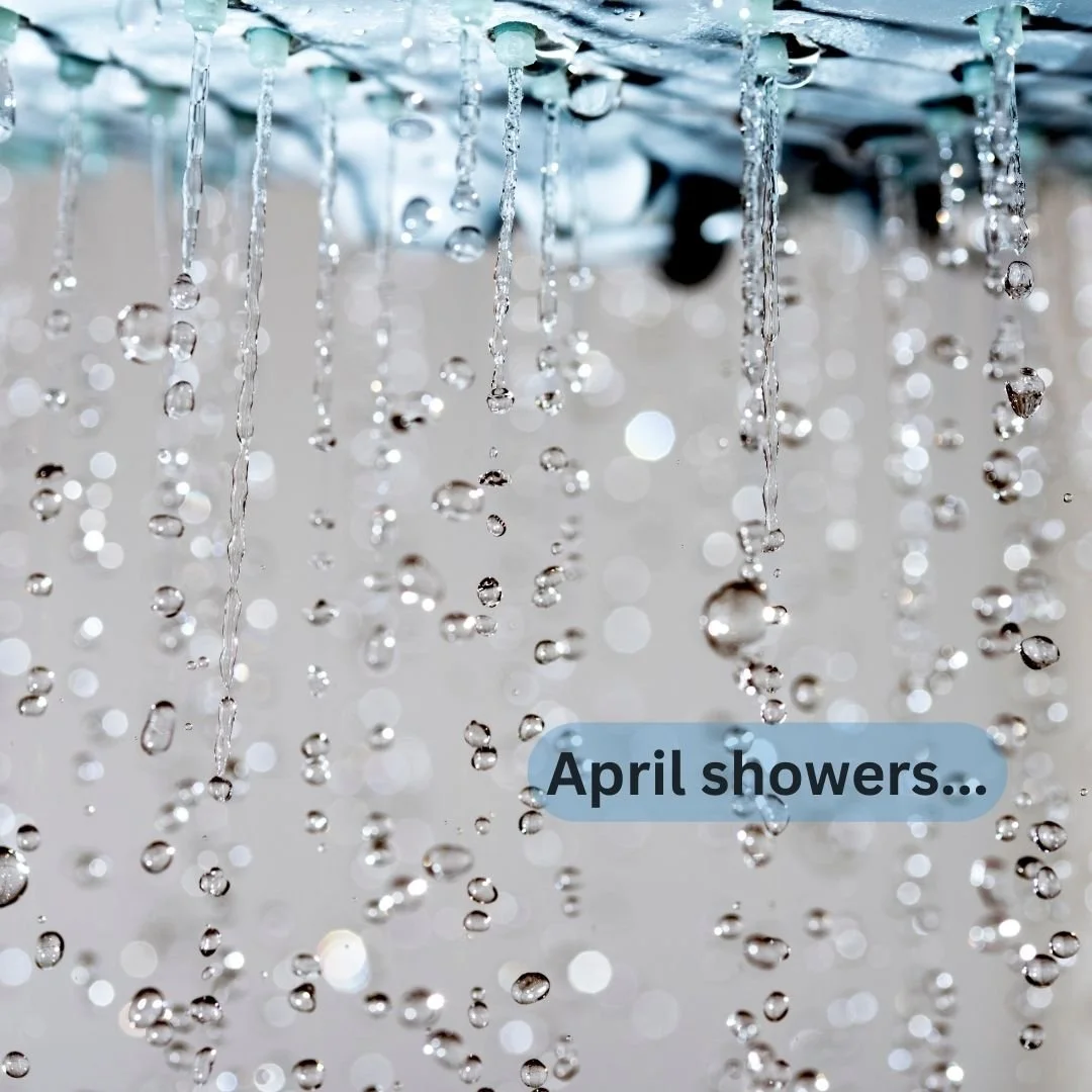 Newsletter: Boot Sale!