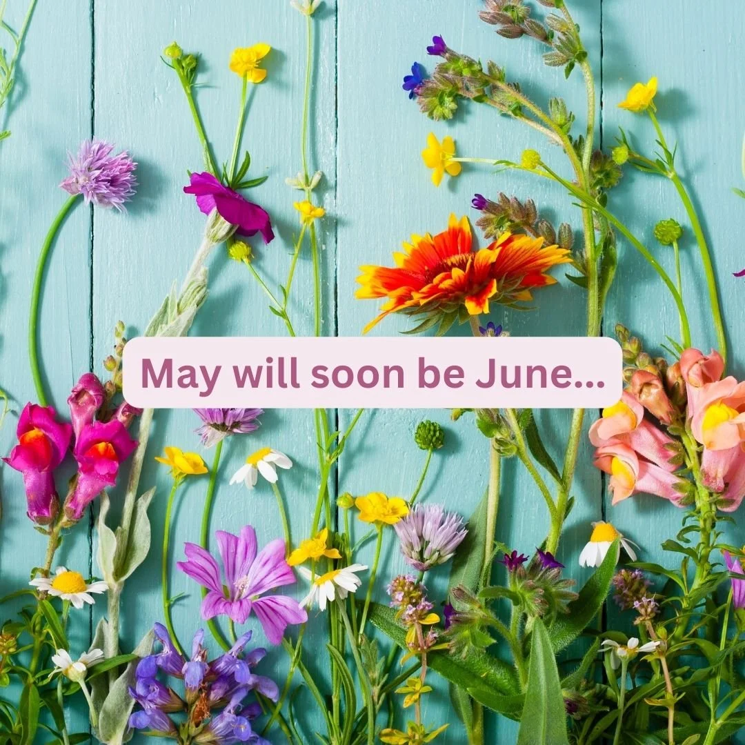 Newsletter: Welcome June!