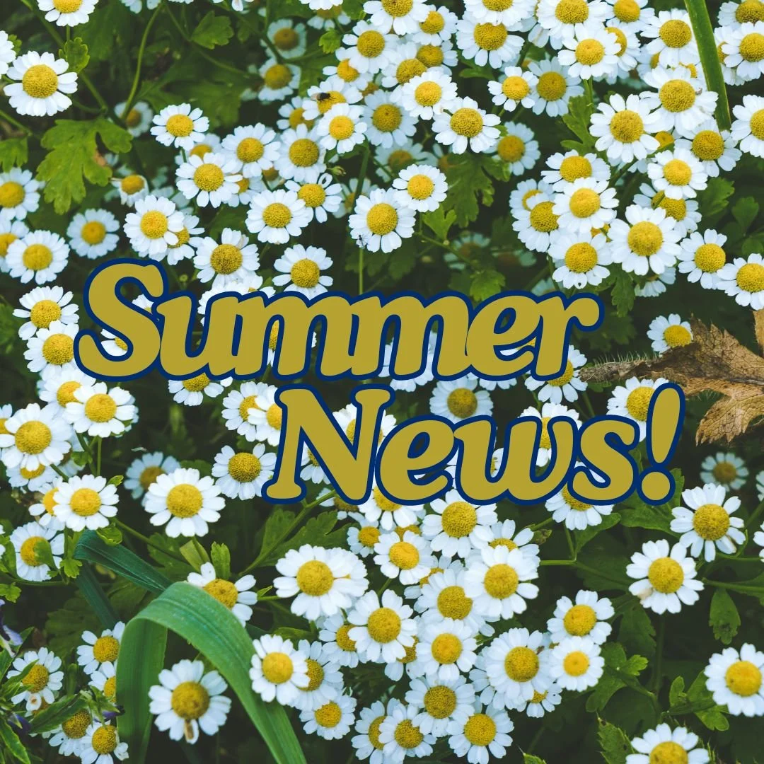Newsletter: Summer is here!