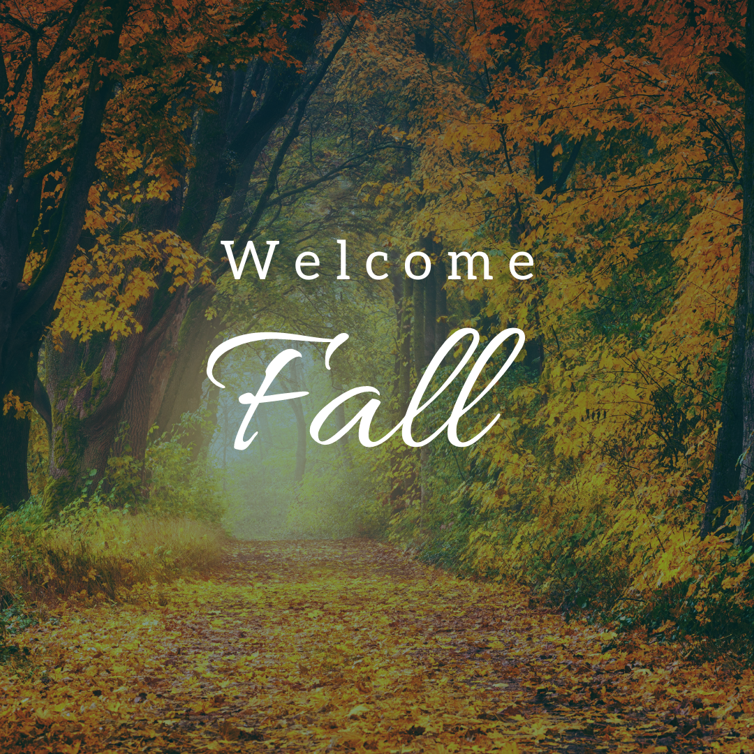 Newsletter: All Saints, All Souls, &amp; Halloween-themed Family Eucharist - this weekend!