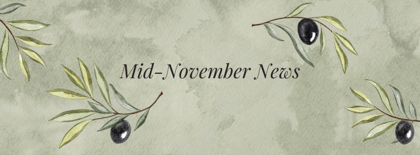 Newsletter: Advent Series, Family Eucharist, and Journeying to Joy