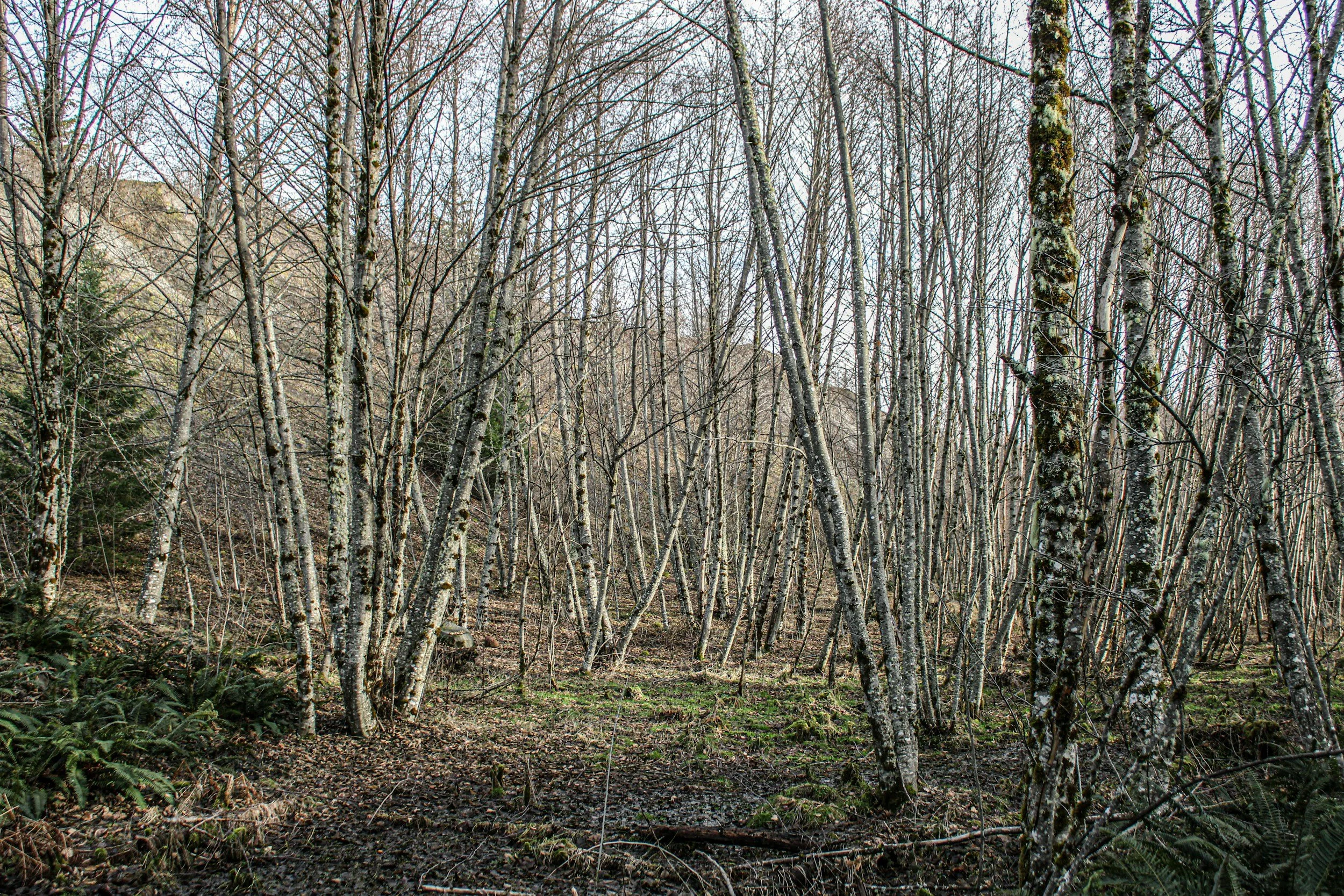 Sunday Worship Nov 16: Twenty-Third Sunday after Pentecost