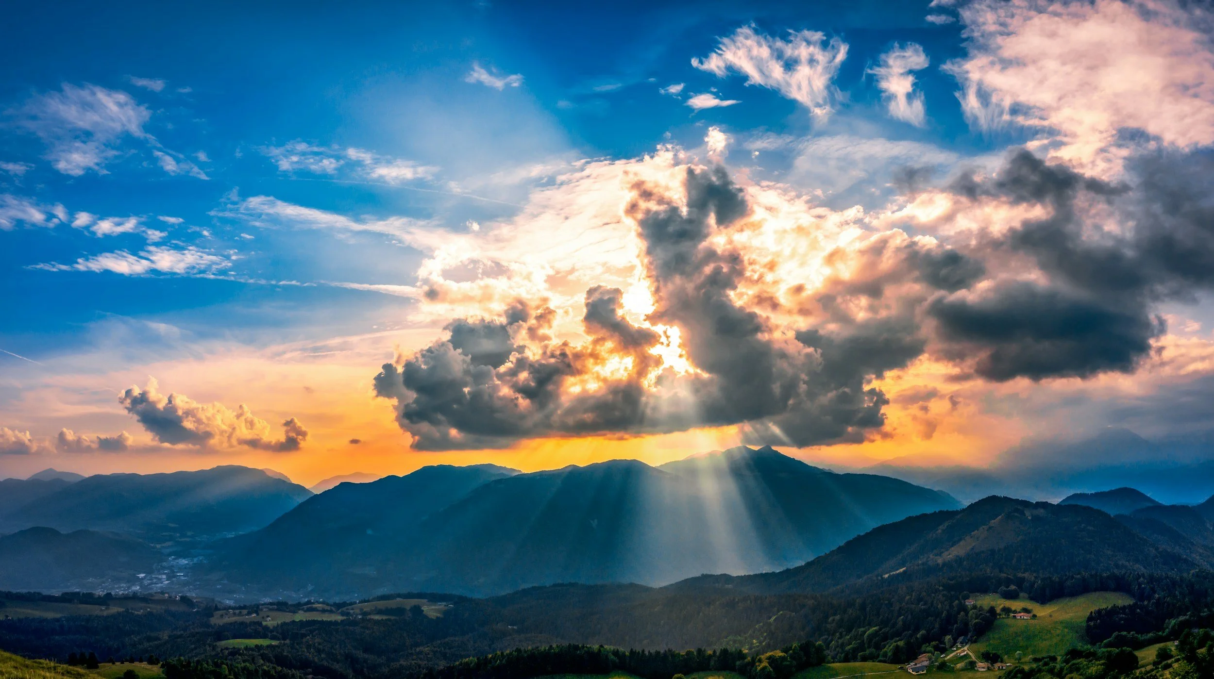 Newsletter: Reign of Christ