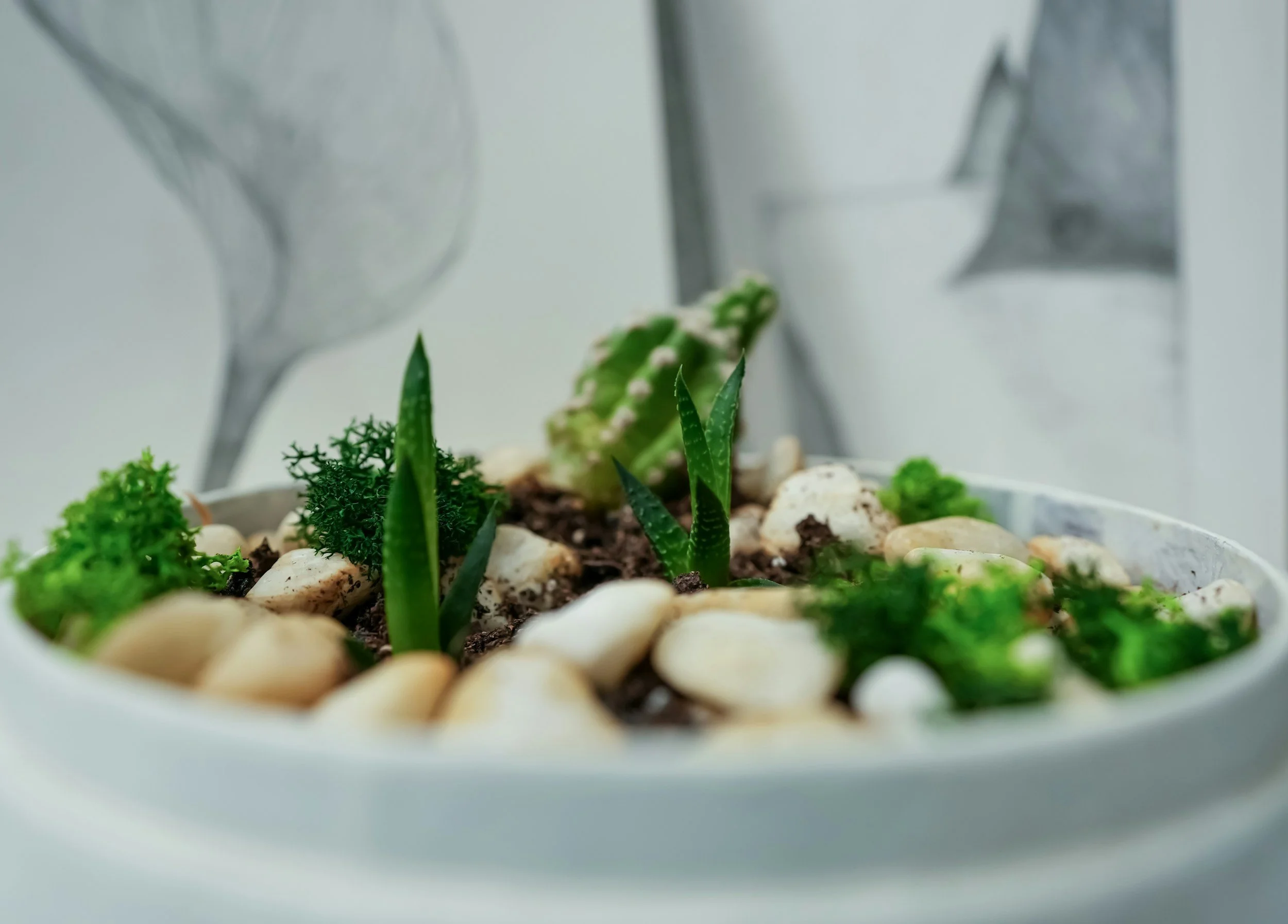 January 18: Ordinary Time