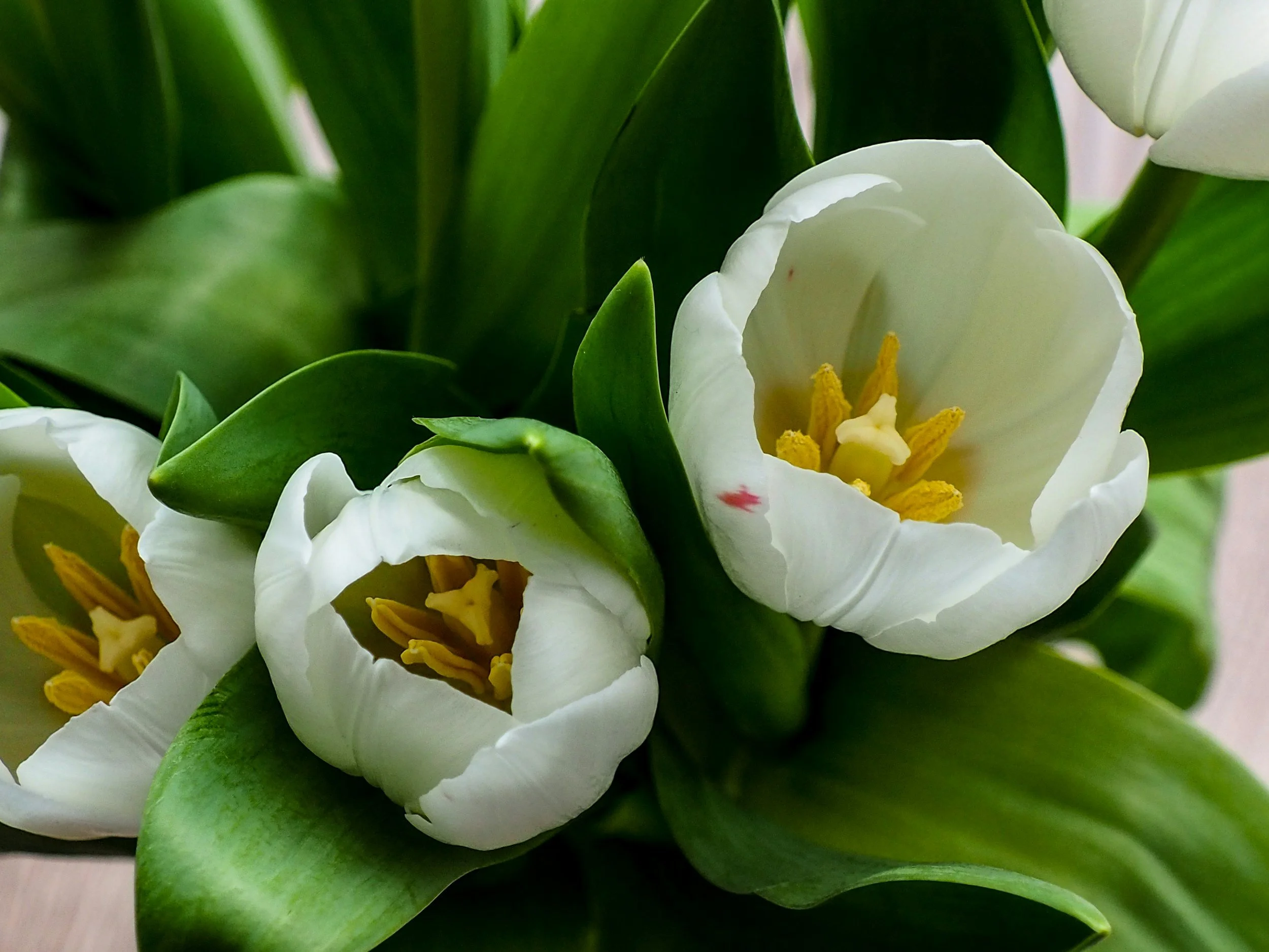 Newsletter: Easter 3