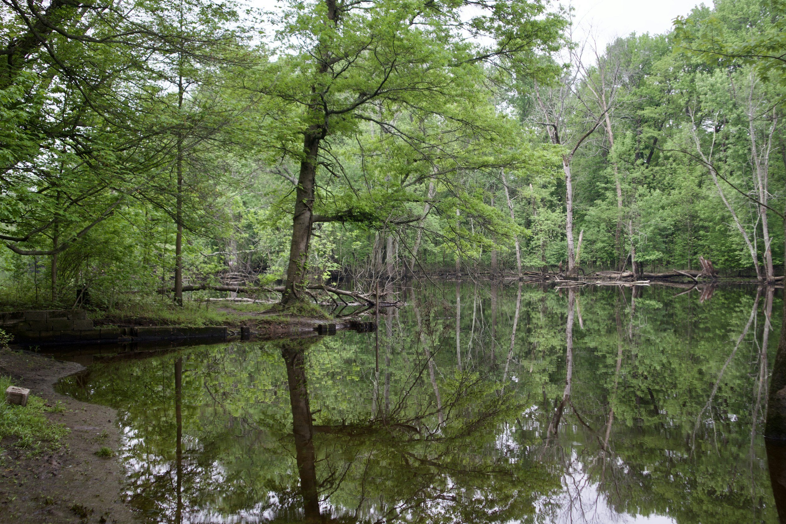 Newsletter: Green Season