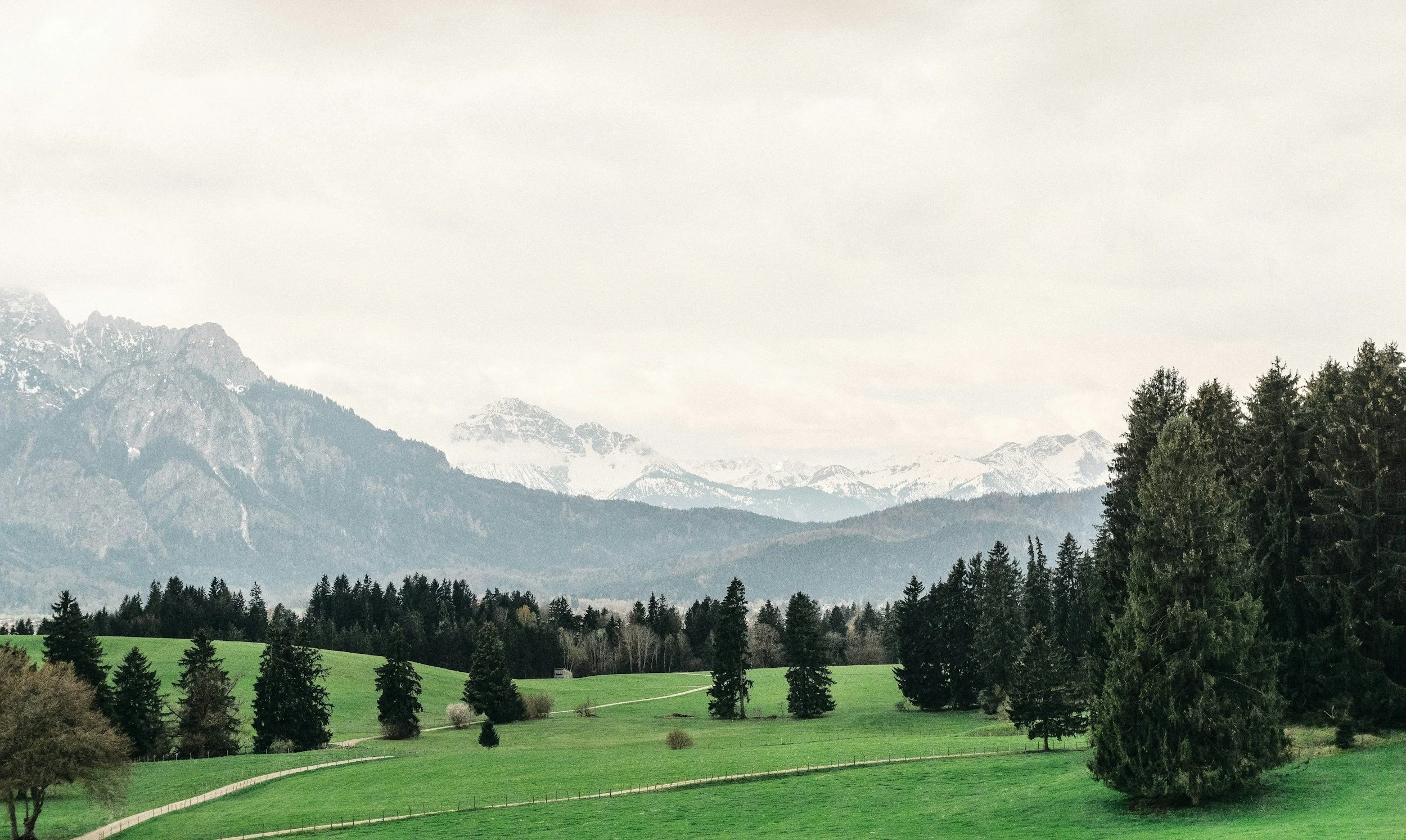 Aug 9: Green Season  